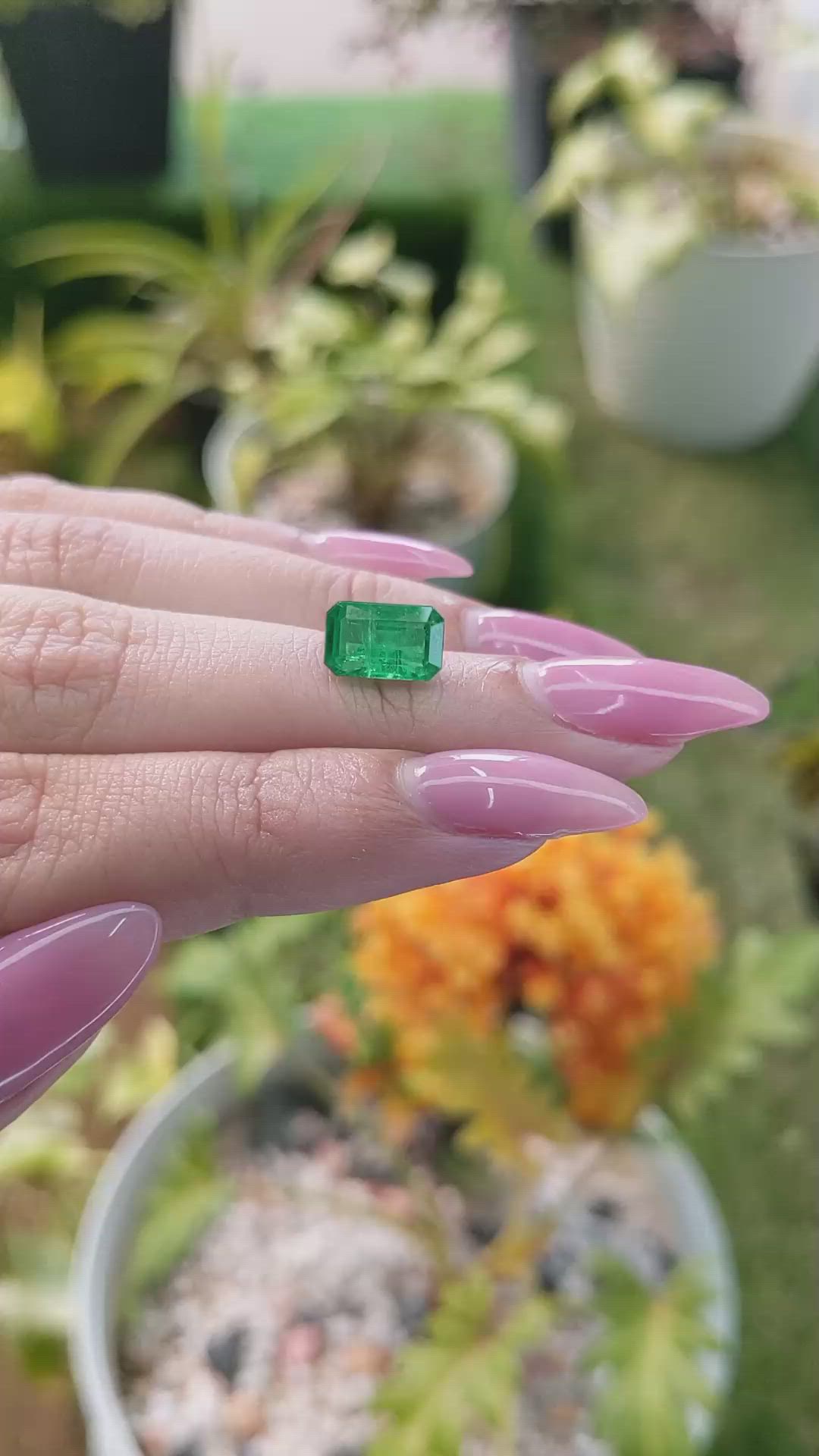 2.55 Ct. Emerald from Zambia Size Video