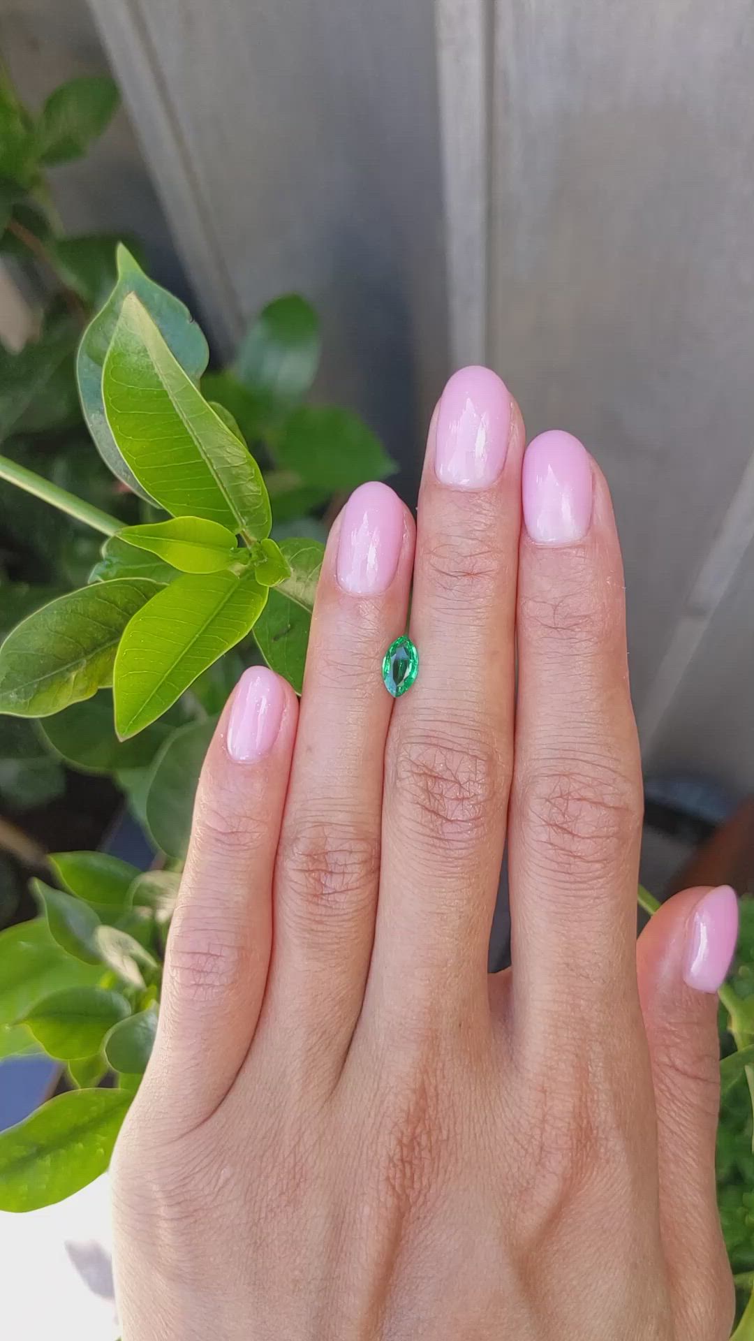 0.56 Ct. Emerald from Zambia Size Video