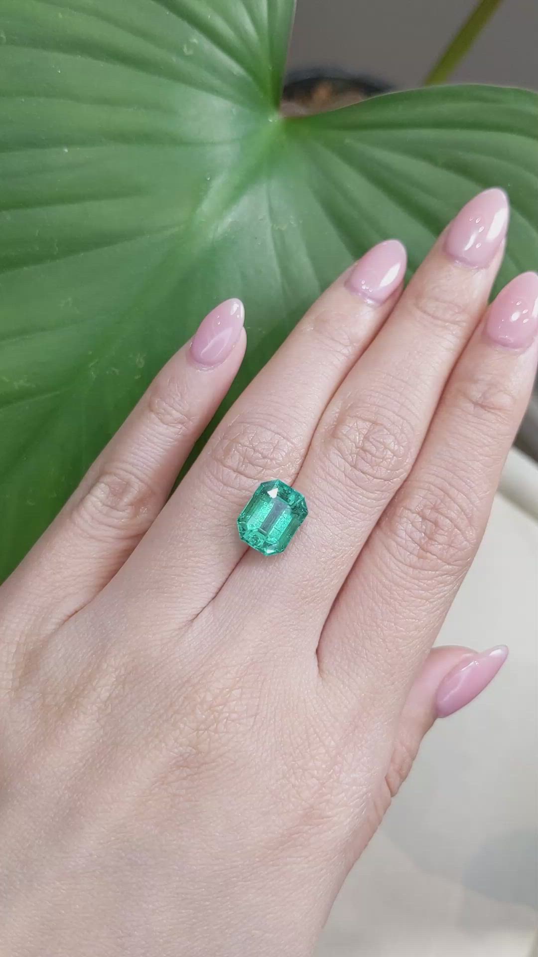 4.54 Ct. Emerald from Zambia Size Video