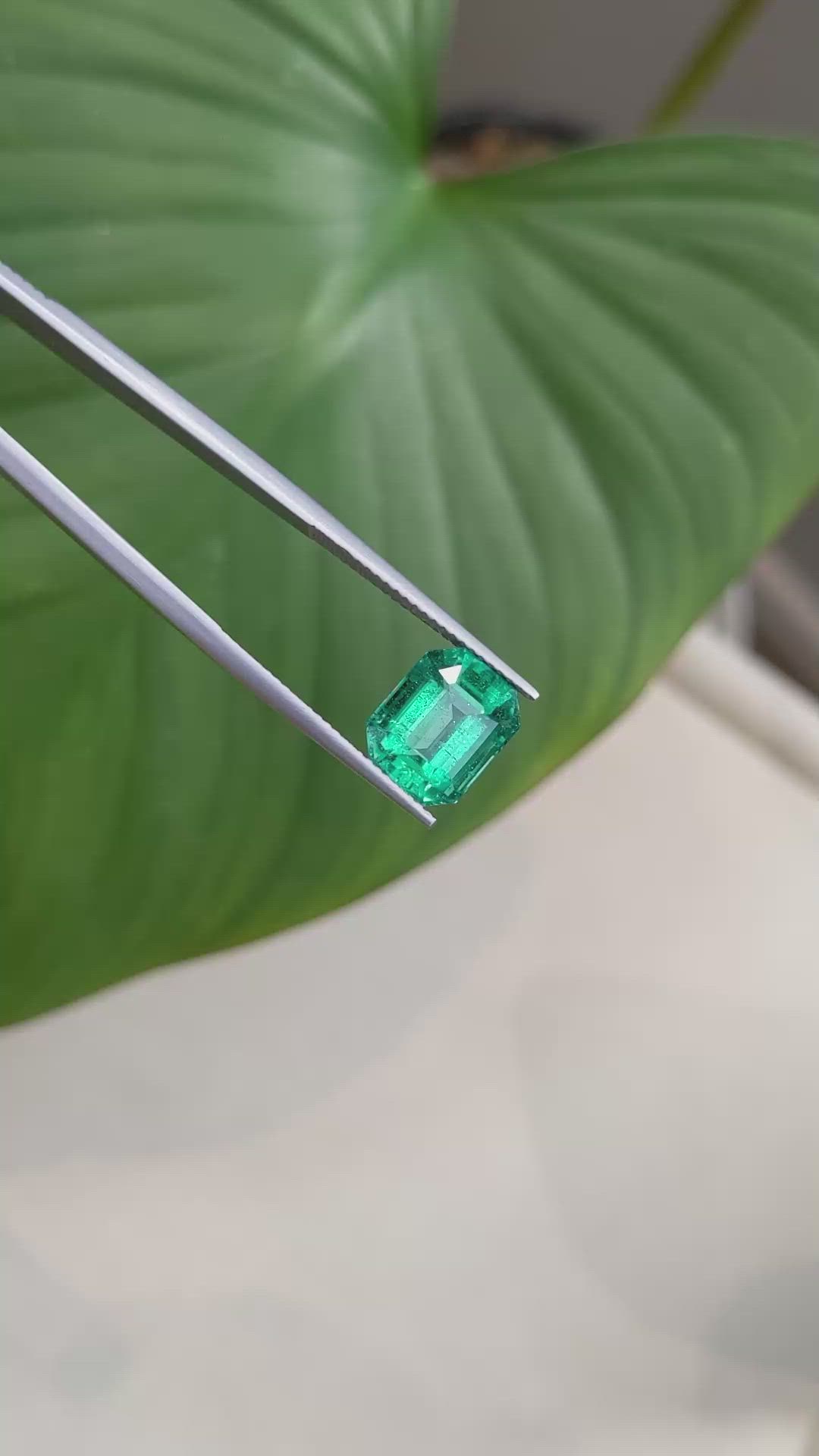 4.54 Ct. Emerald from Zambia Size Video