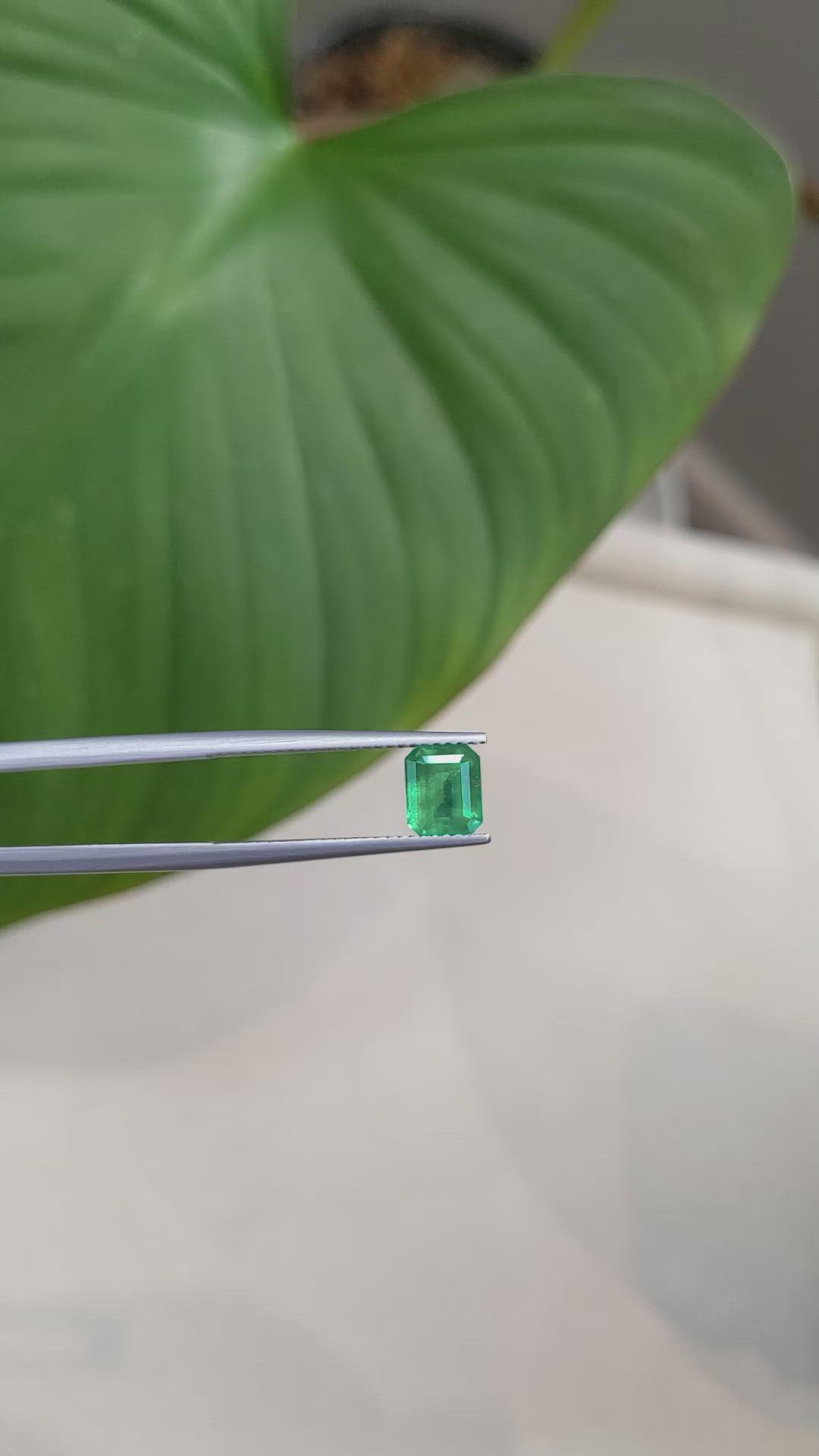 1.20 Ct. Emerald from Brazil Size Video