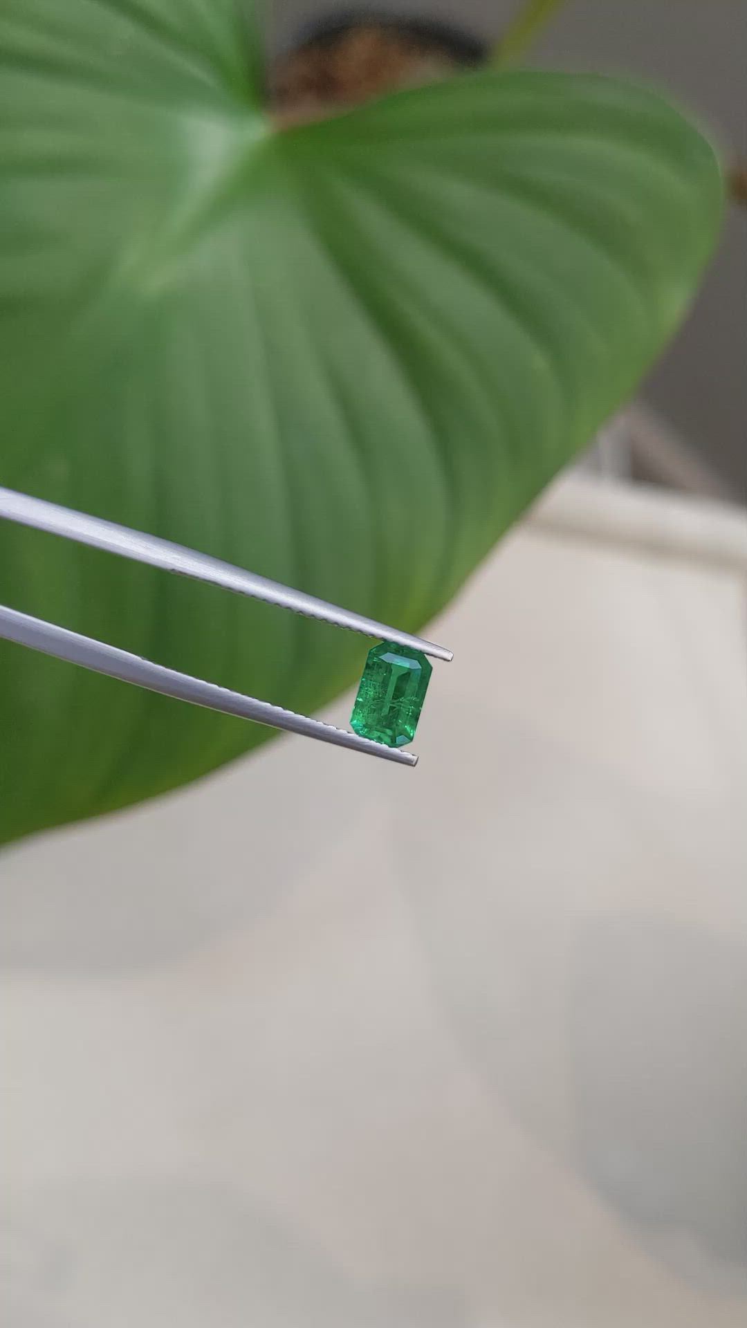 0.79 Ct. Emerald from Brazil Size Video