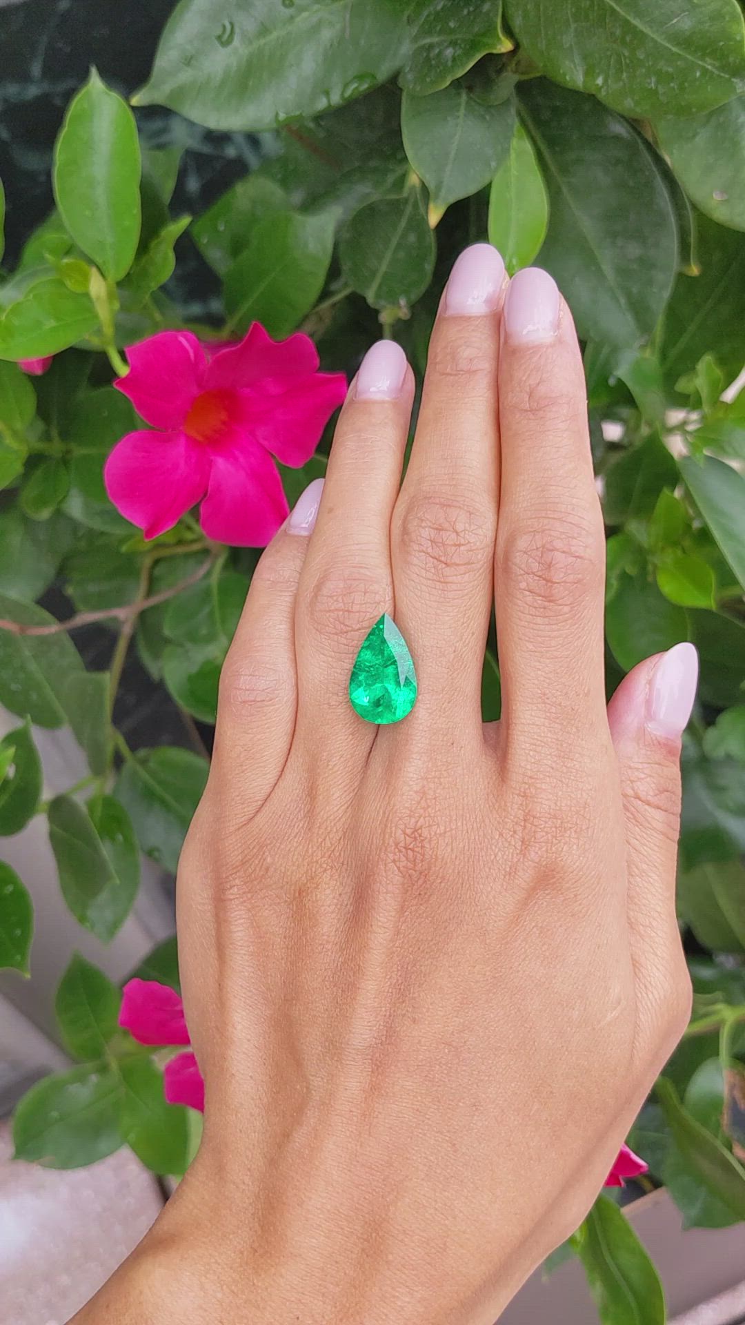 6.14 Ct. Emerald from Colombia Size Video