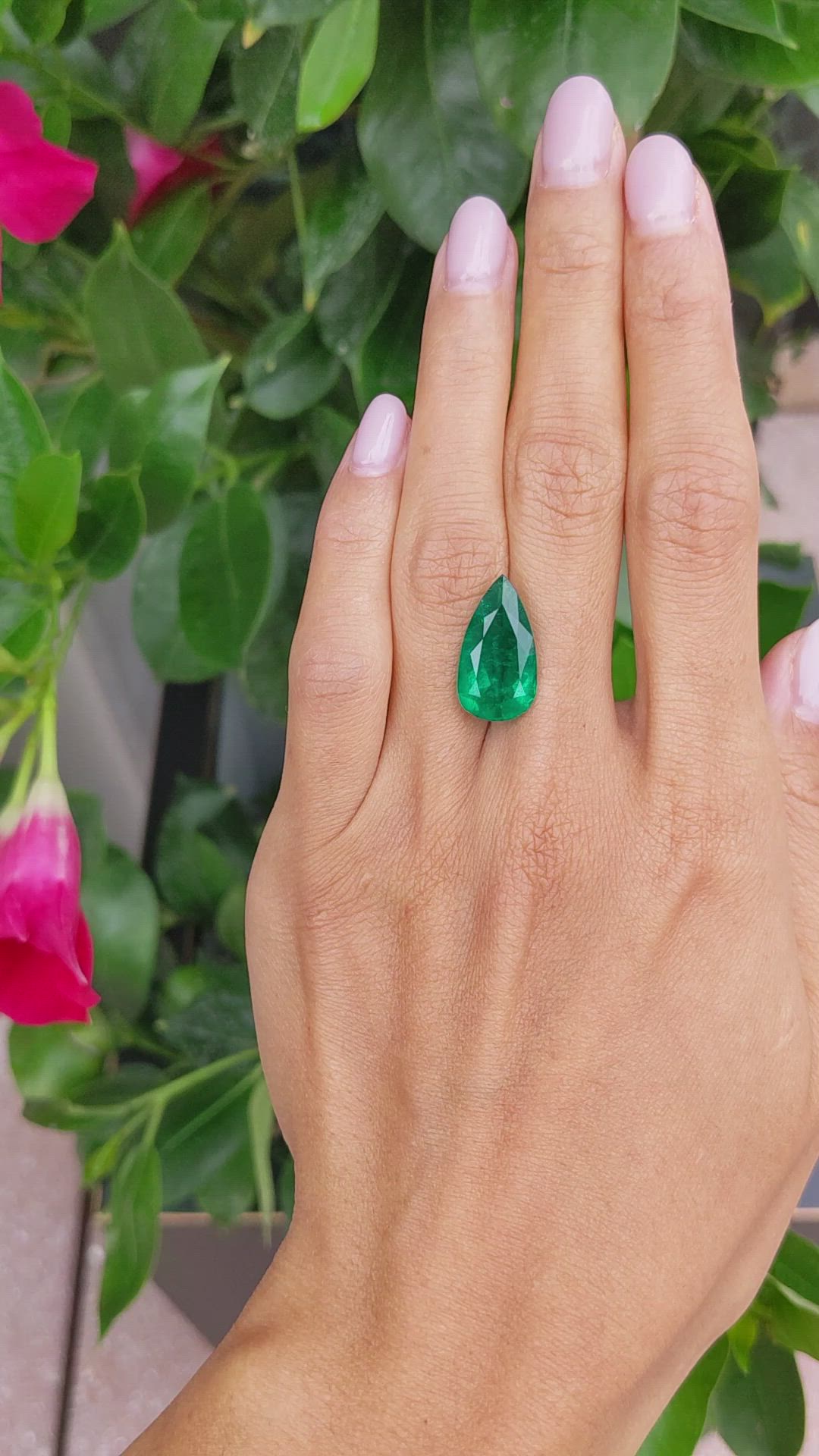 8.22 Ct. Emerald from Colombia Size Video