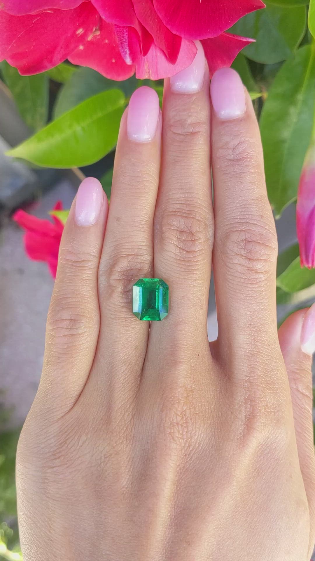 4.78 Ct. Emerald from Zambia Size Video