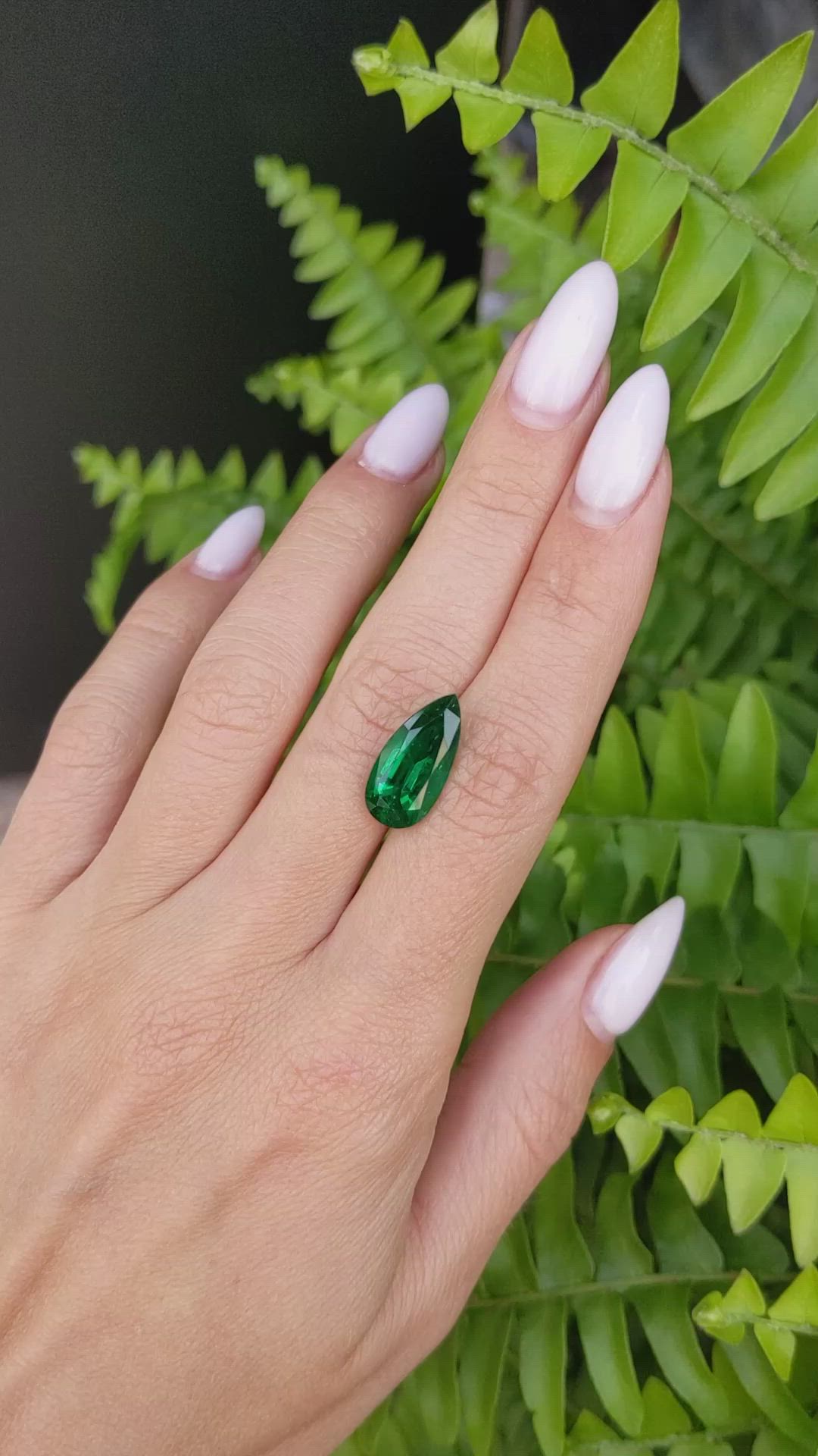 5.52 Ct. Emerald from Zambia Size Video