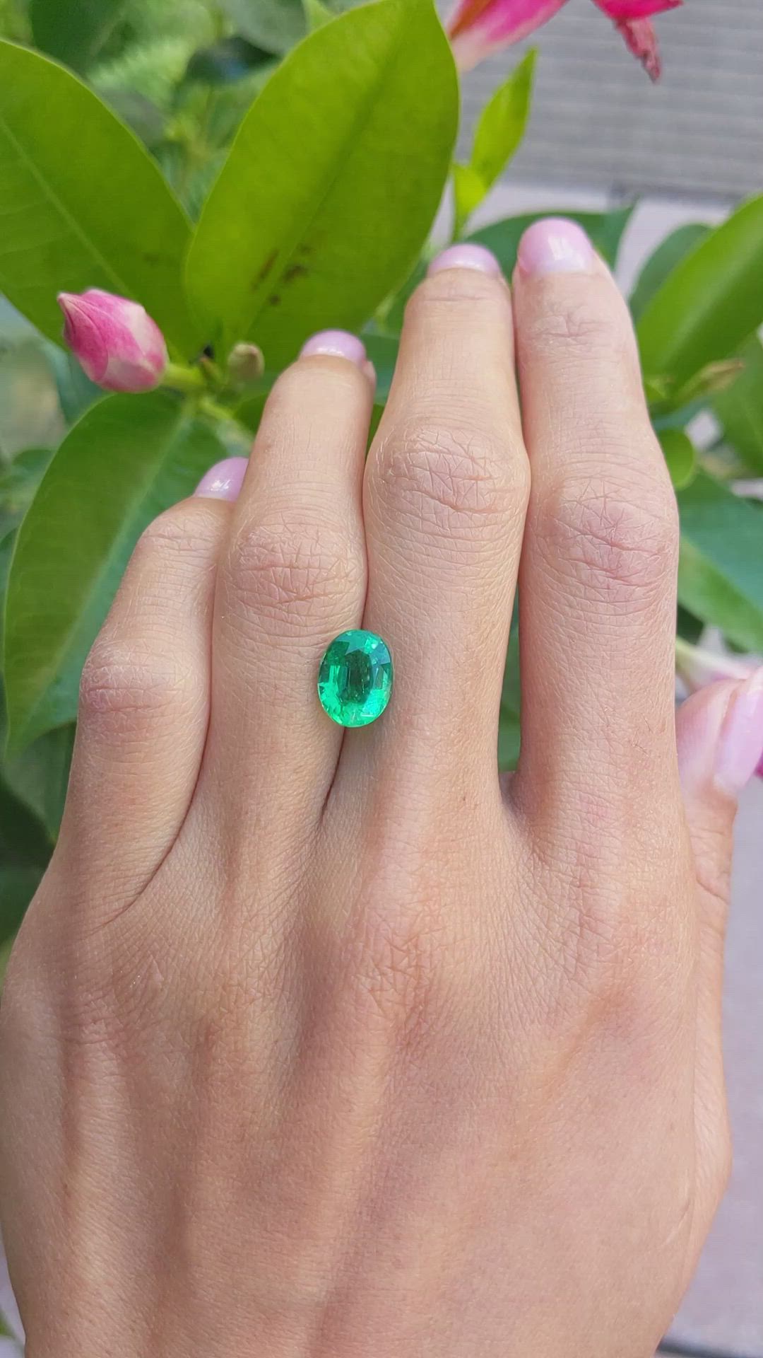 2.29 Ct. Emerald from Zambia Size Video