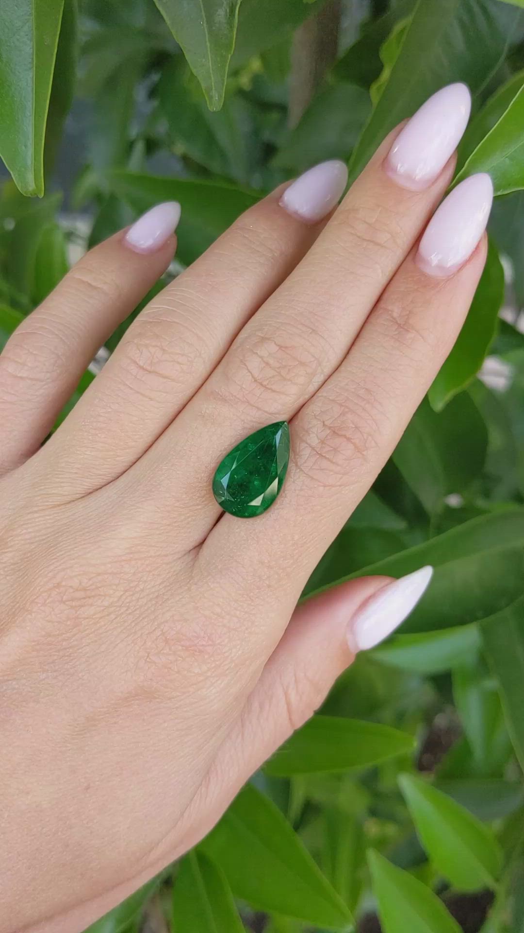 6.37 Ct. Emerald from Zambia Size Video