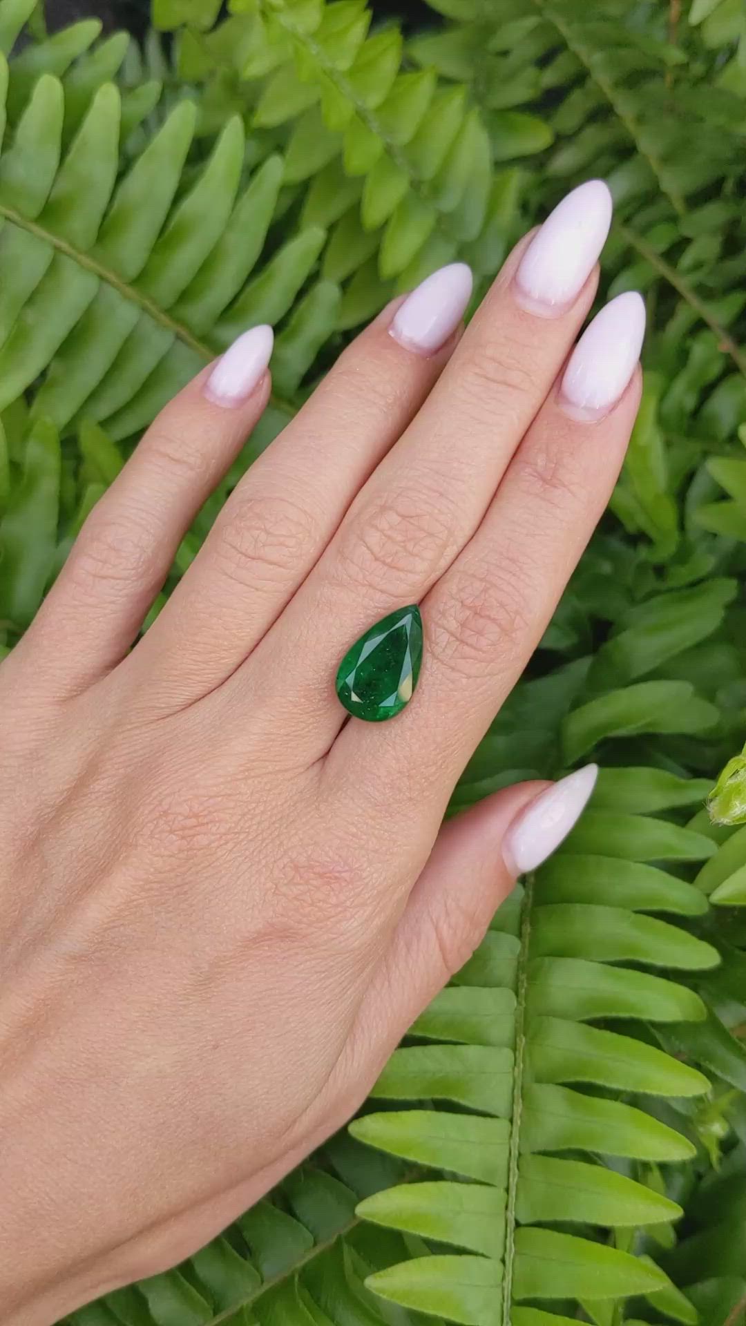 6.37 Ct. Emerald from Zambia Size Video