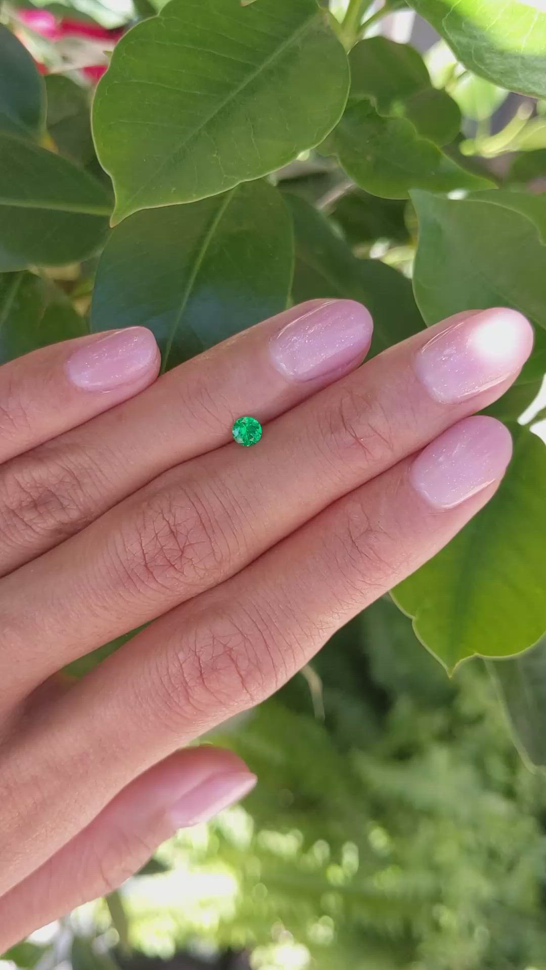 0.19 Ct. Emerald from Afghanistan Size Video