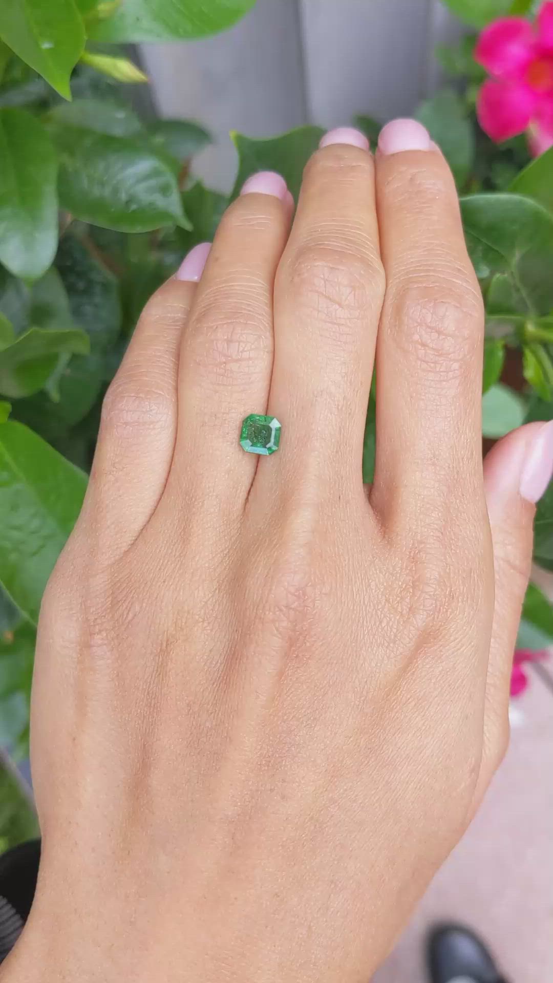 0.88 Ct. Emerald from Zambia Size Video