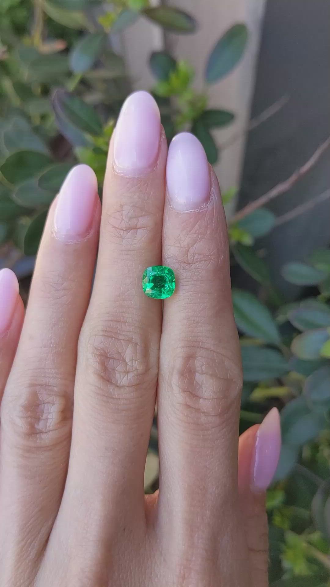 1.46 Ct. Emerald from Zambia Size Video