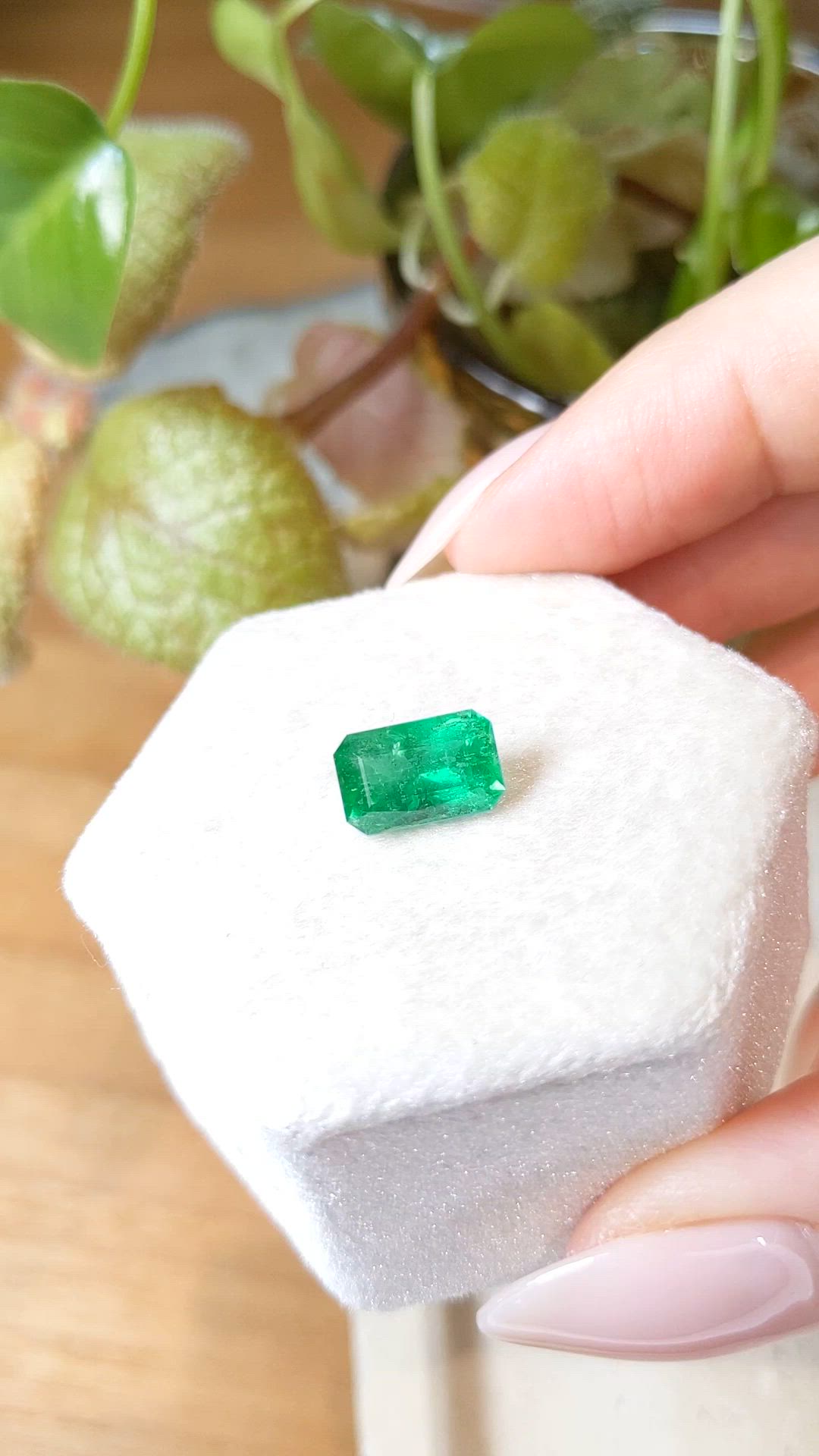 2.38 Ct. Emerald from Zambia Size Video