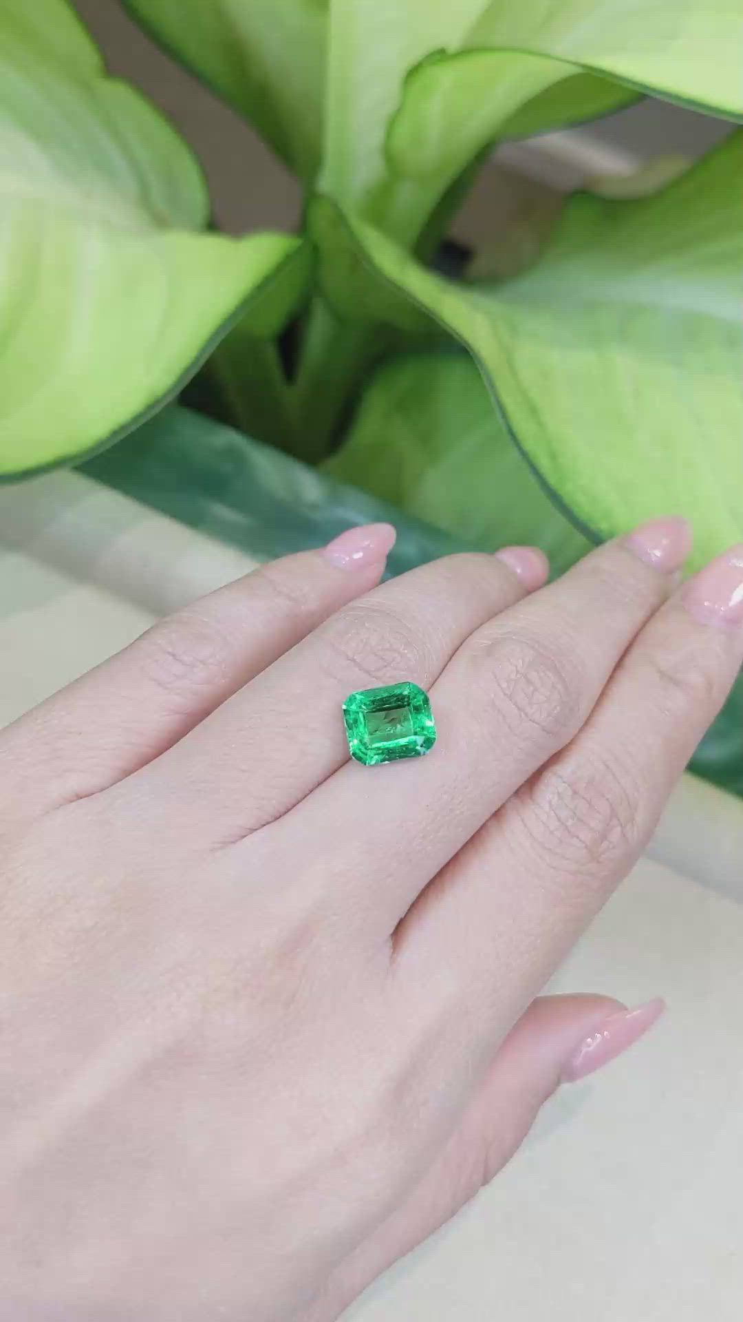 2.76 Ct. Emerald from Zambia Size Video