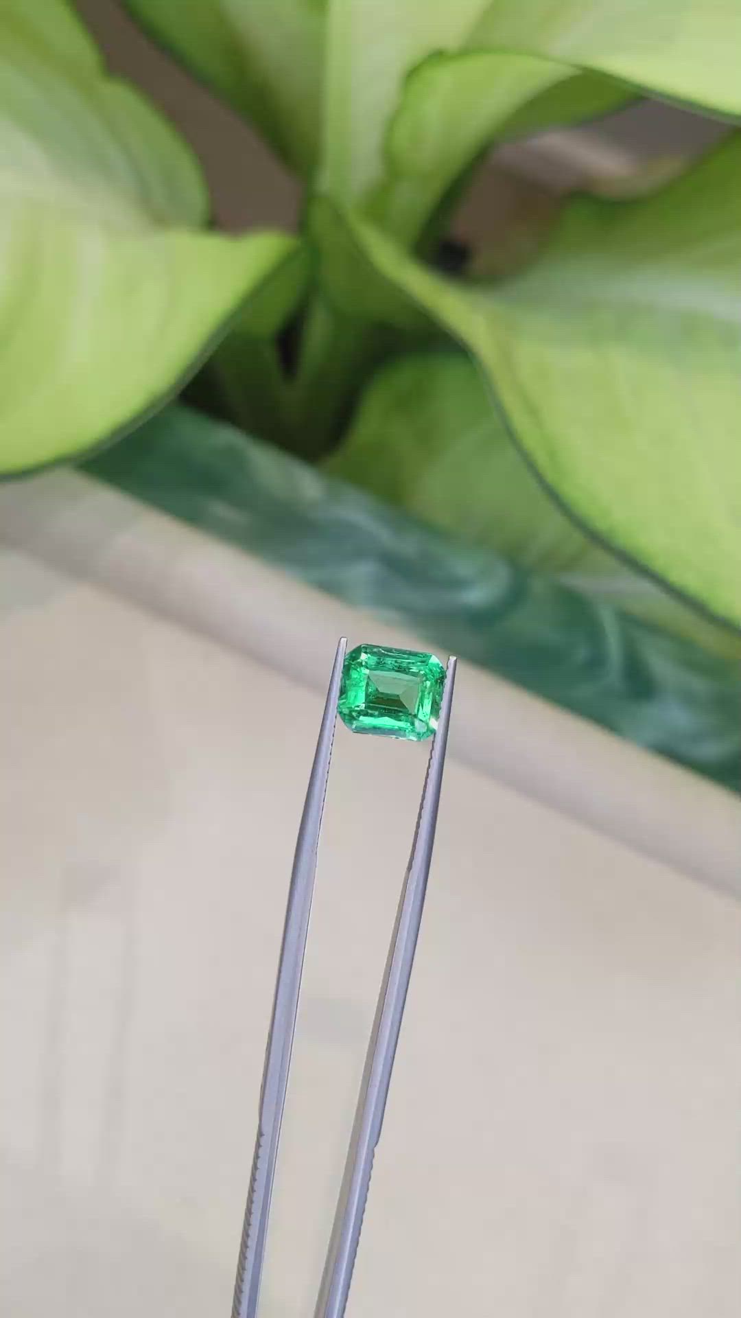 2.76 Ct. Emerald from Zambia Size Video