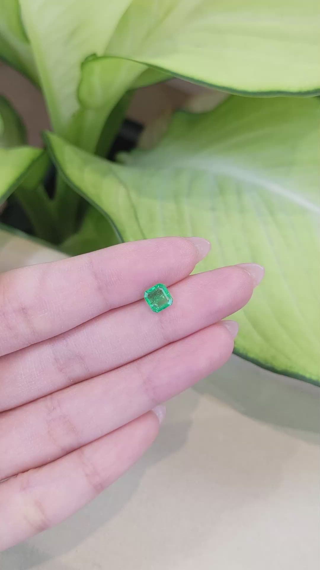 0.92 Ct. Emerald from Colombia Size Video