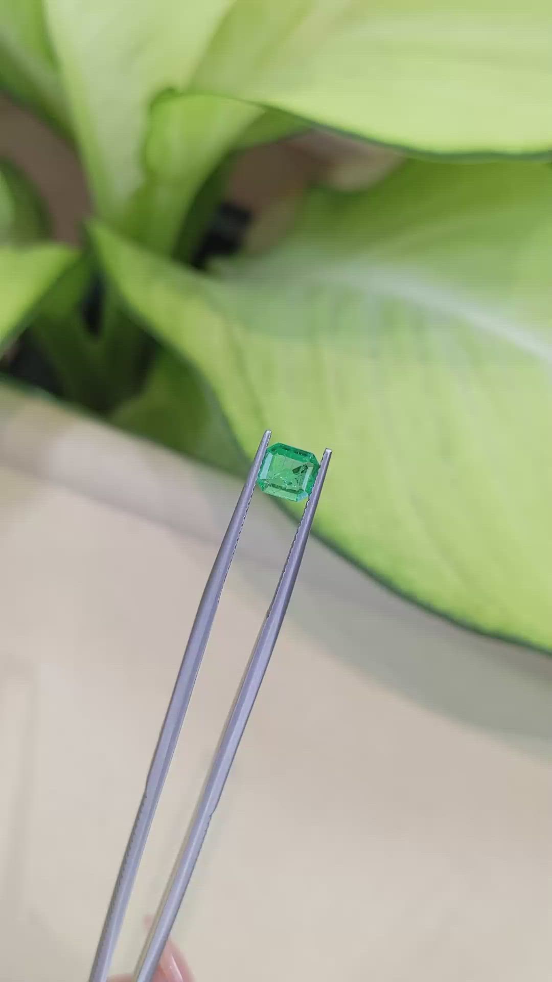 0.60 Ct. Emerald from Zambia Size Video