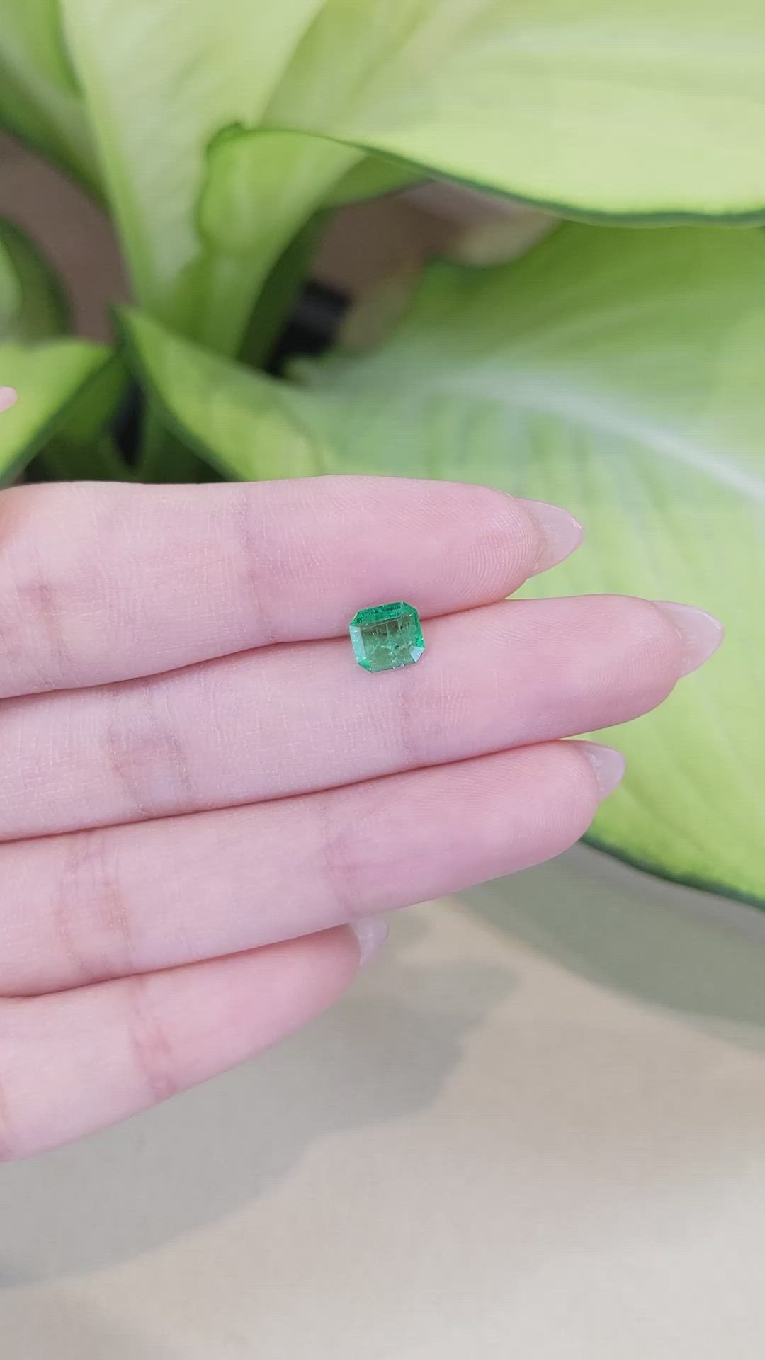 0.60 Ct. Emerald from Zambia Size Video