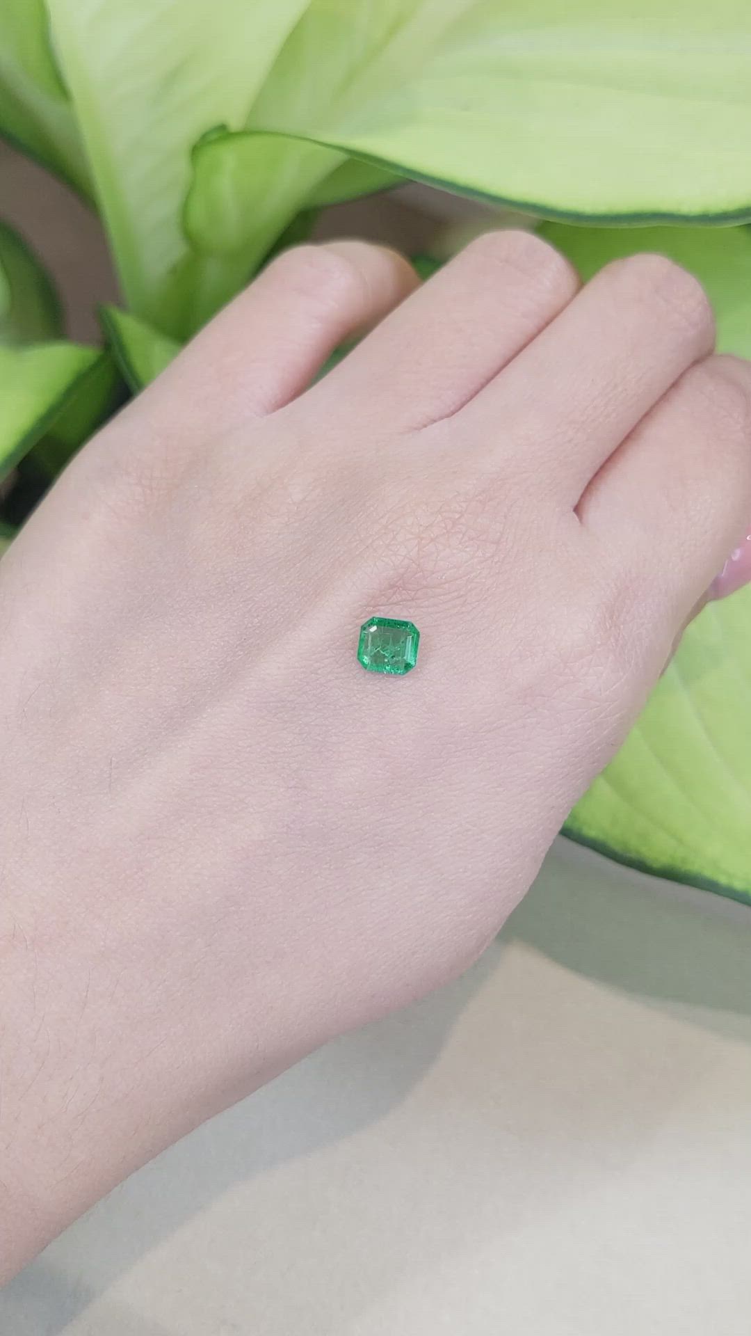 0.60 Ct. Emerald from Zambia Size Video