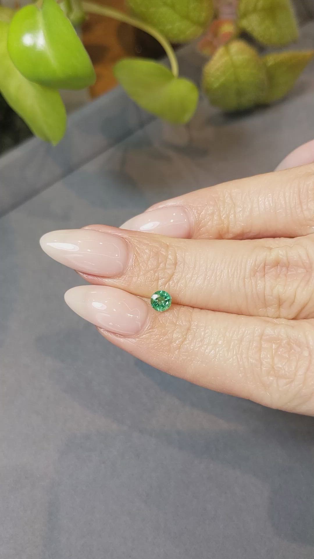 0.31 Ct. Emerald from Zambia Size Video