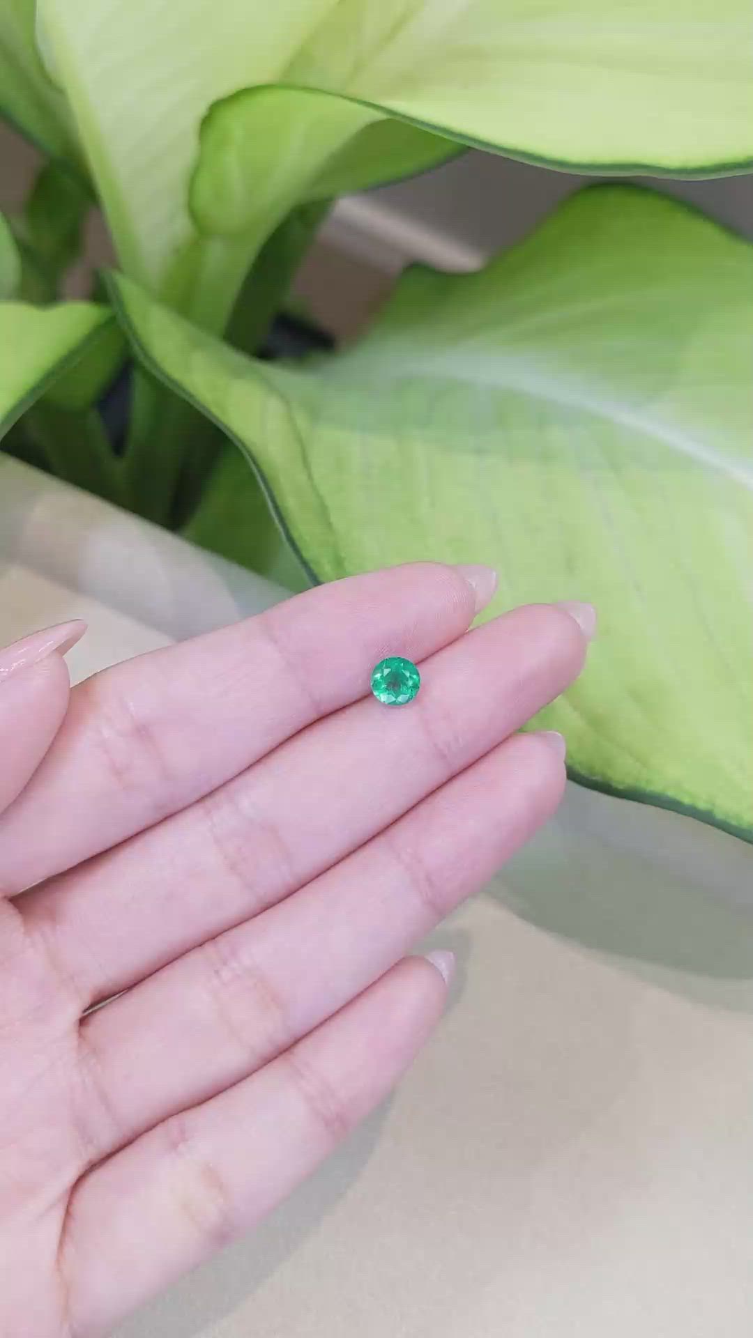 0.70 Ct. Emerald from Zambia Size Video