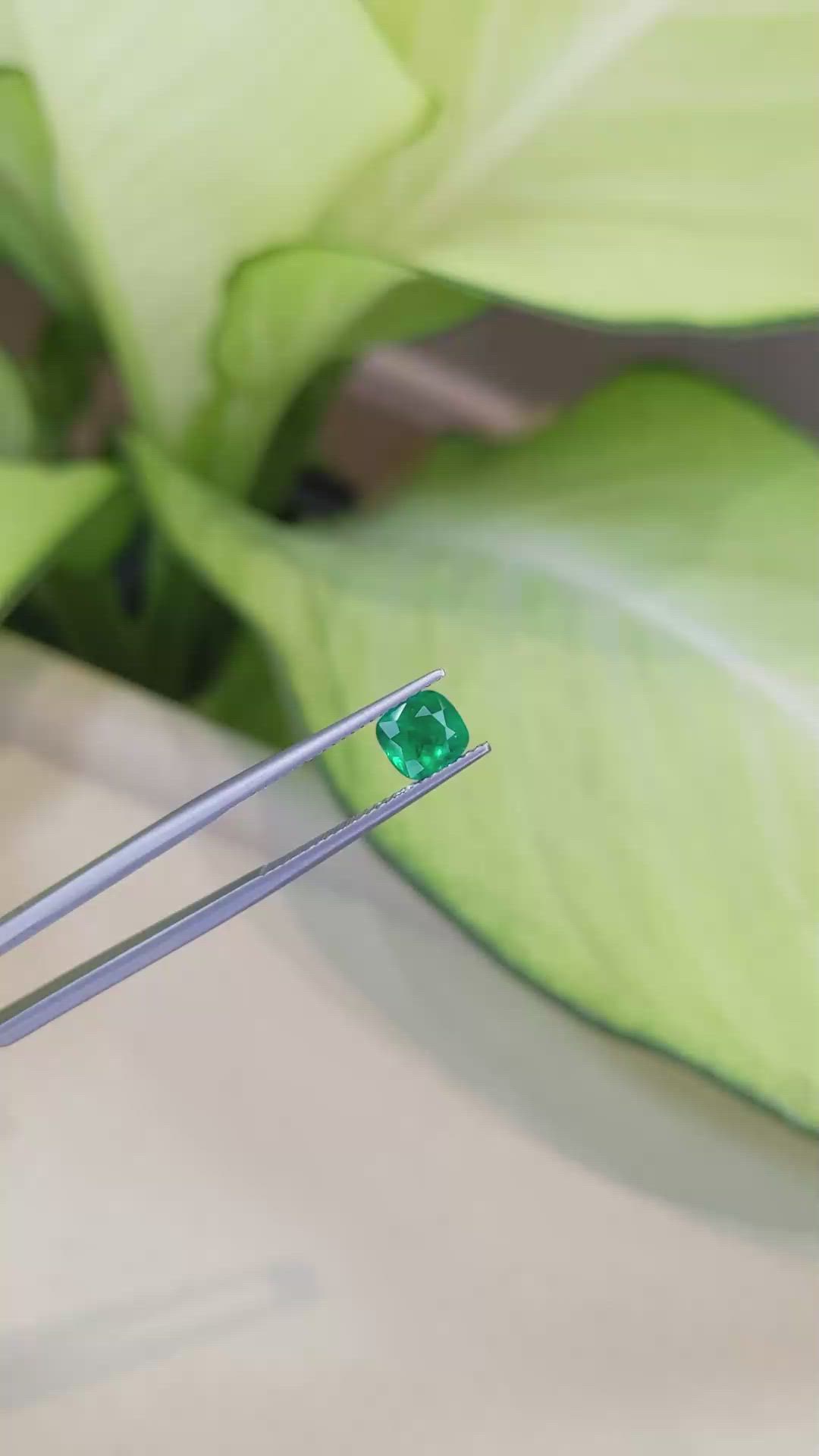 1.21 Ct. Emerald from Zambia Size Video