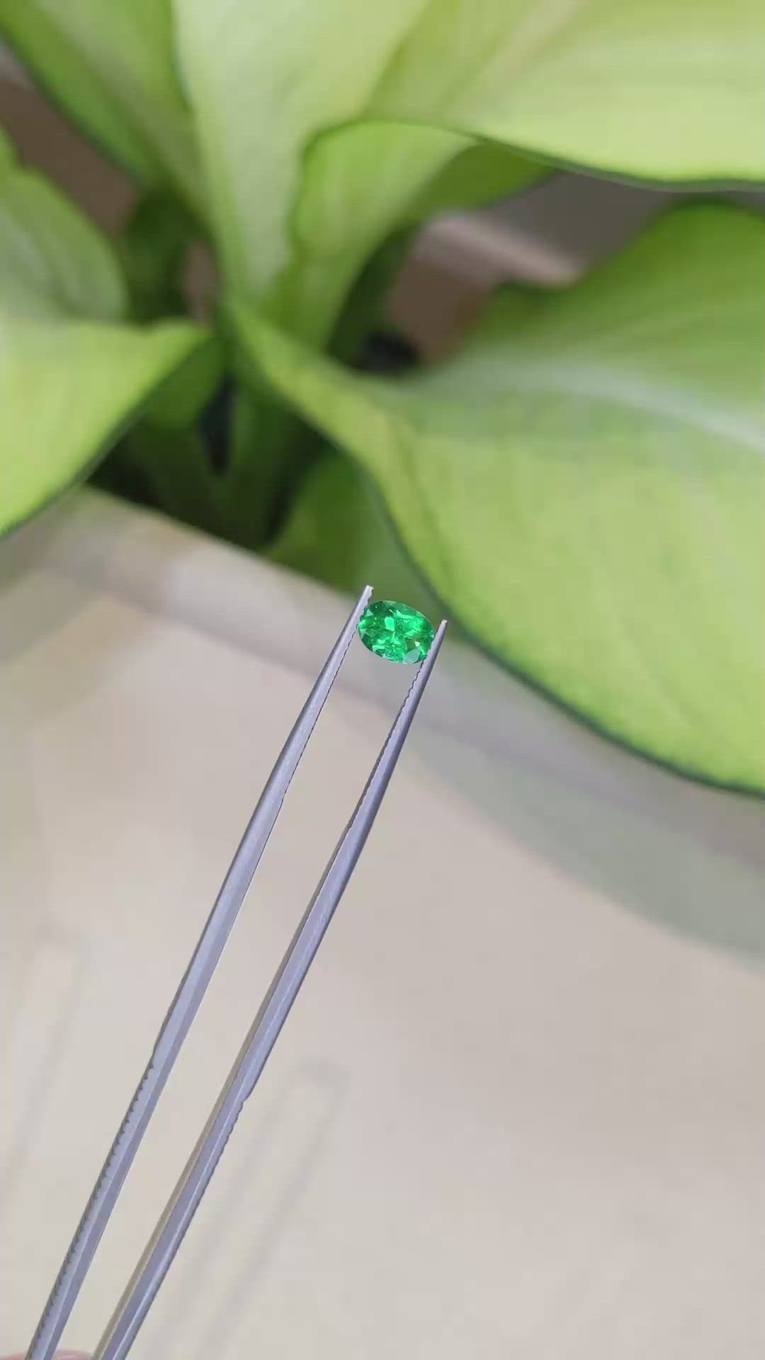 0.74 Ct. Emerald from Colombia Size Video