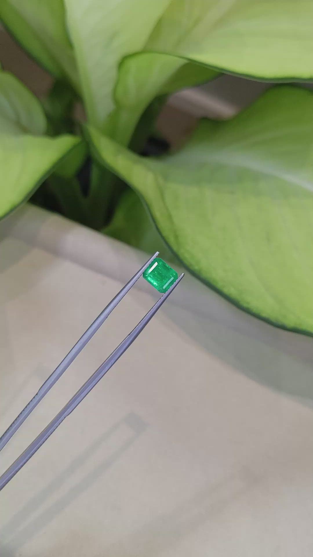 1.68 Ct. Emerald from Colombia Size Video