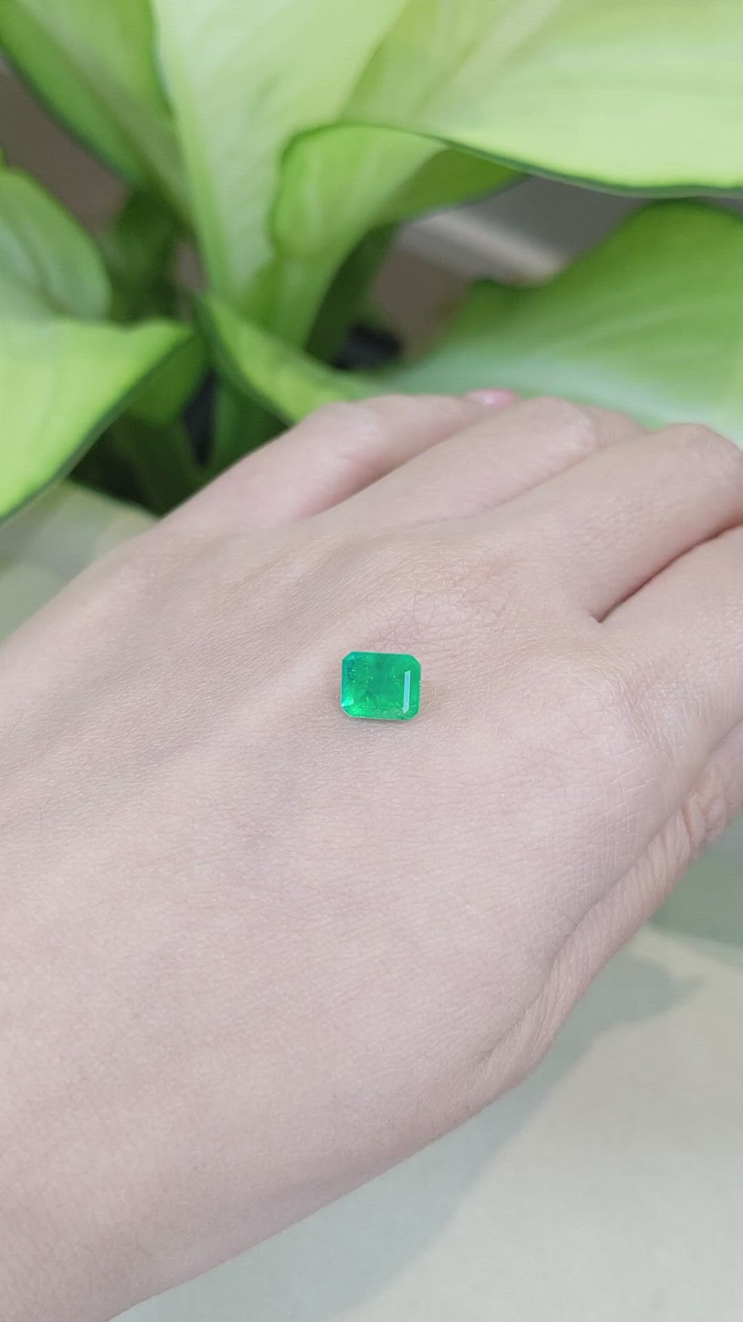 1.68 Ct. Emerald from Colombia Size Video