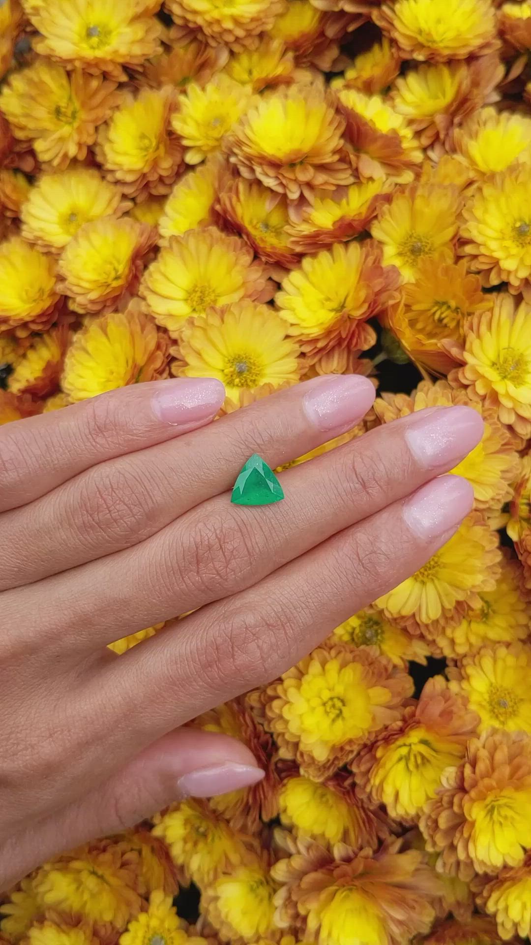 1.51 Ct. Emerald from Colombia Size Video