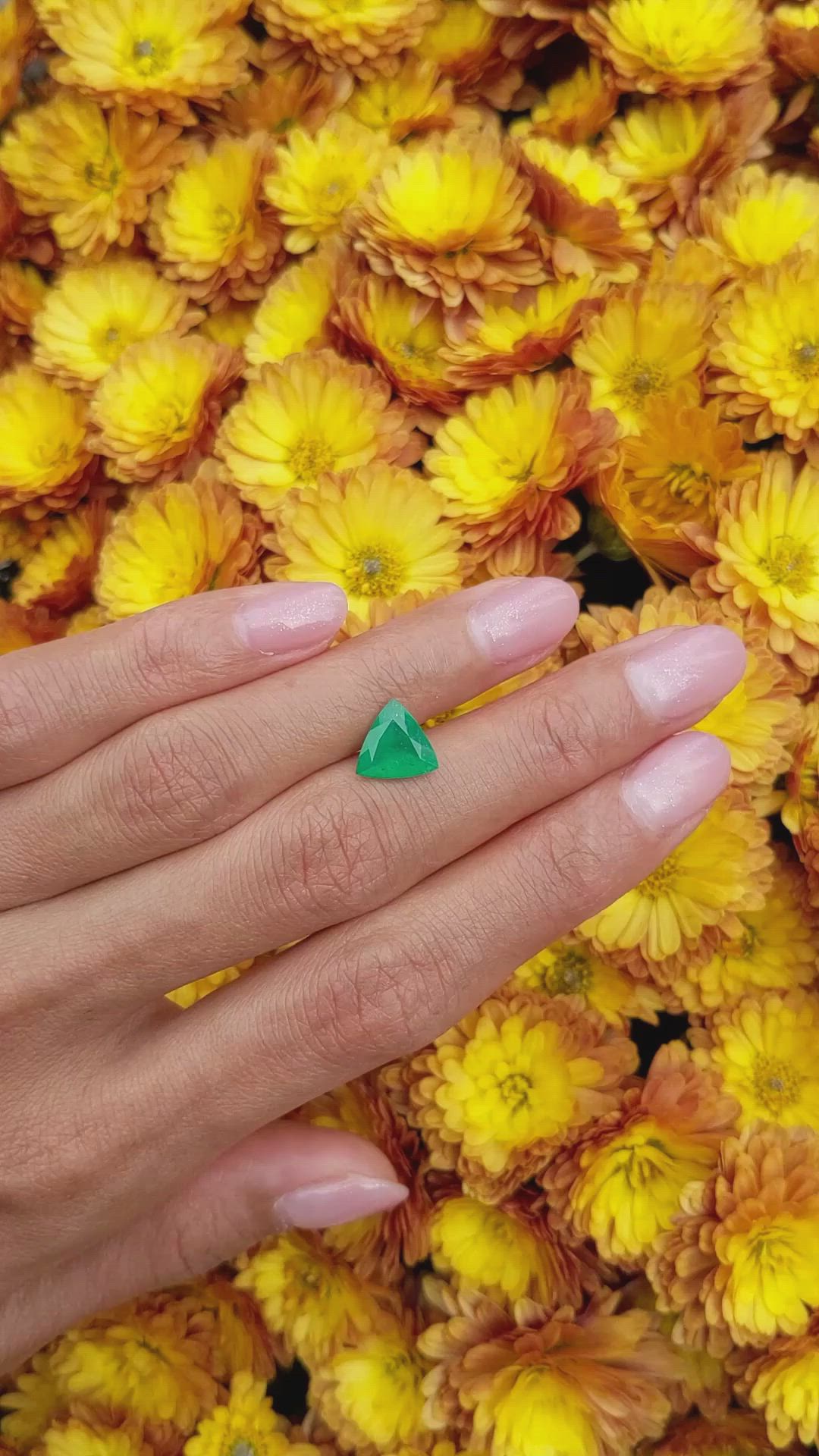 1.51 Ct. Emerald from Colombia Size Video