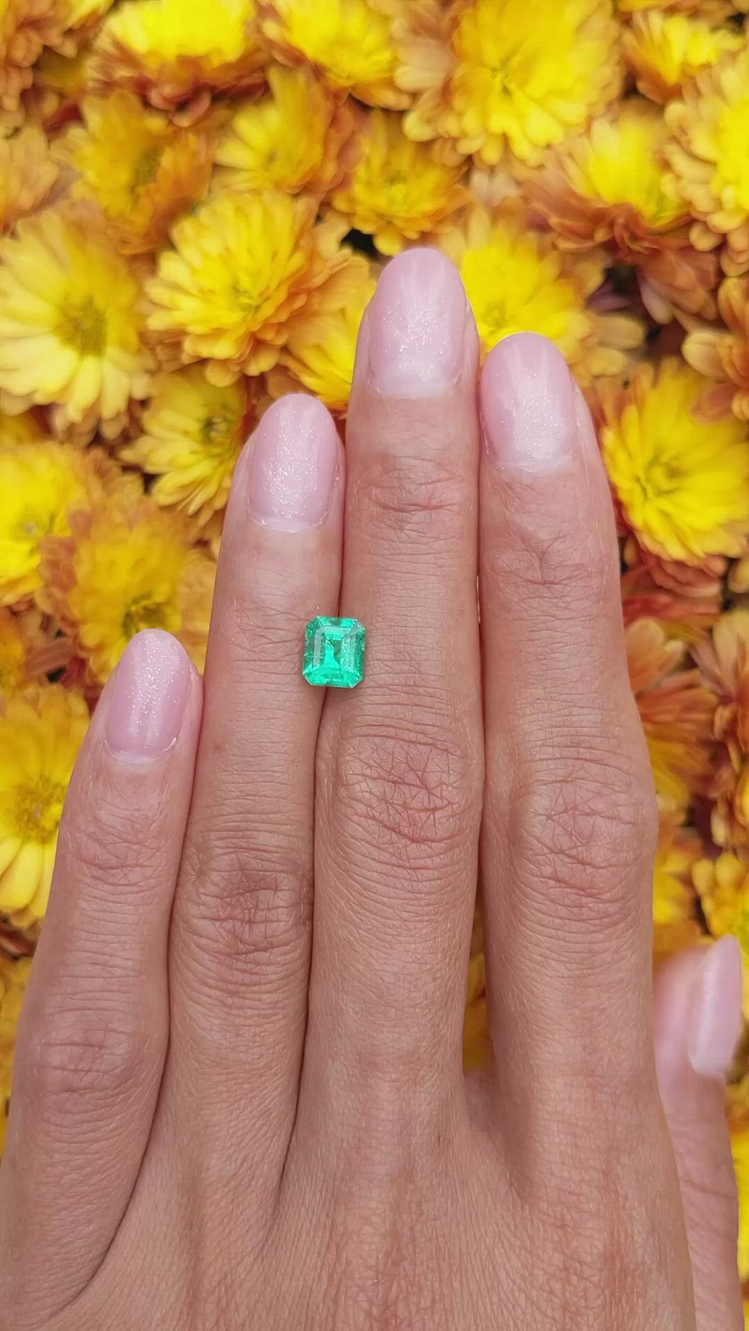 1.01 Ct. Emerald from Colombia Size Video