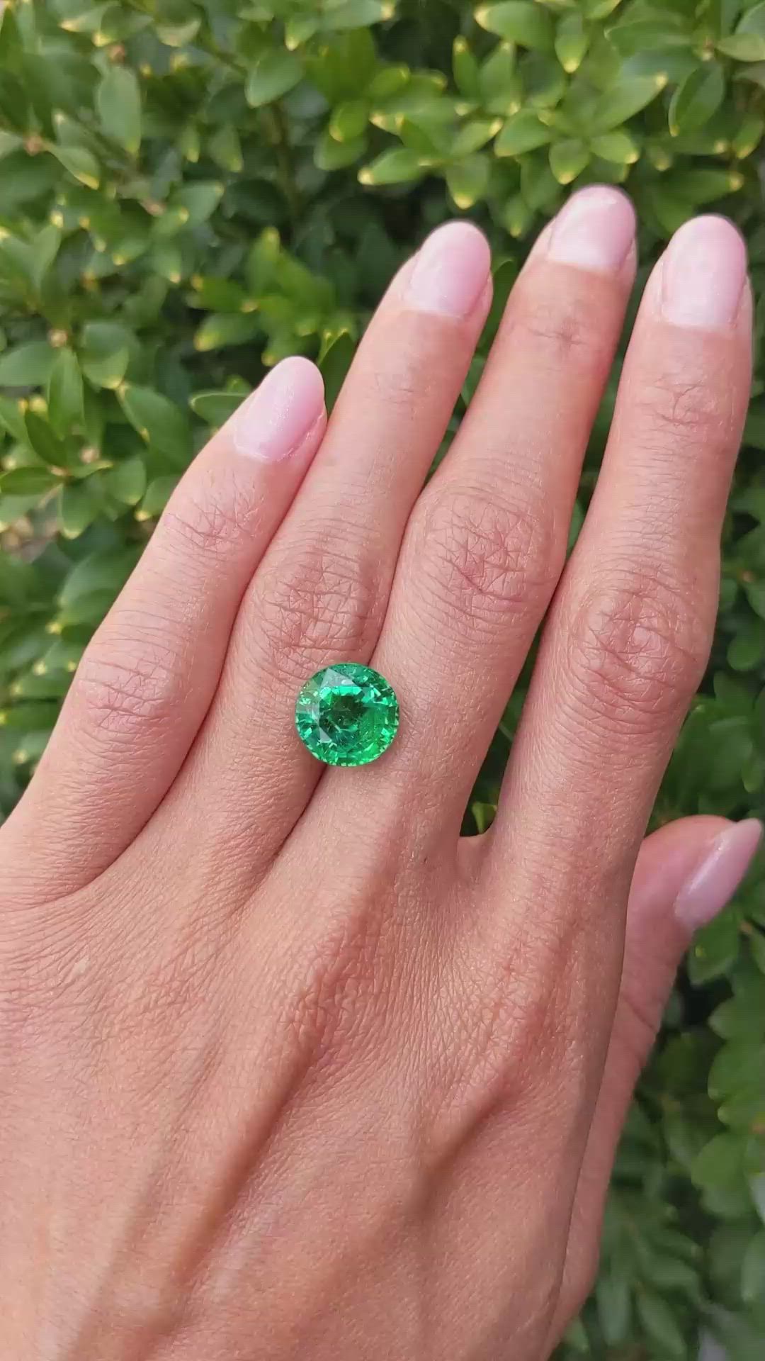 4.73 Ct. Emerald from Zambia Size Video