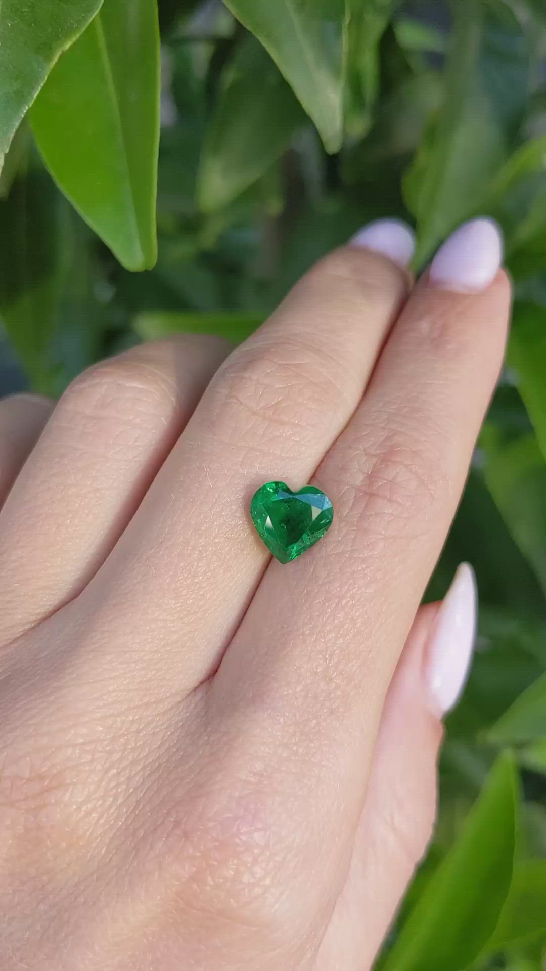 2.36 Ct. Emerald from Zambia Size Video