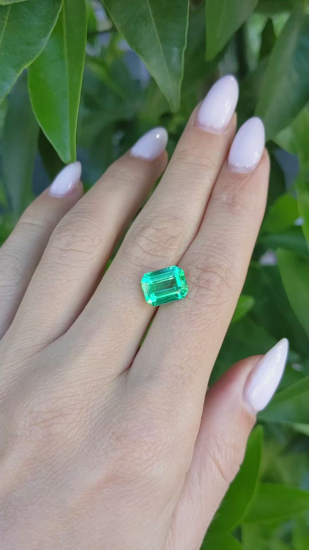 3.10 Ct. Emerald from Zambia Size Video