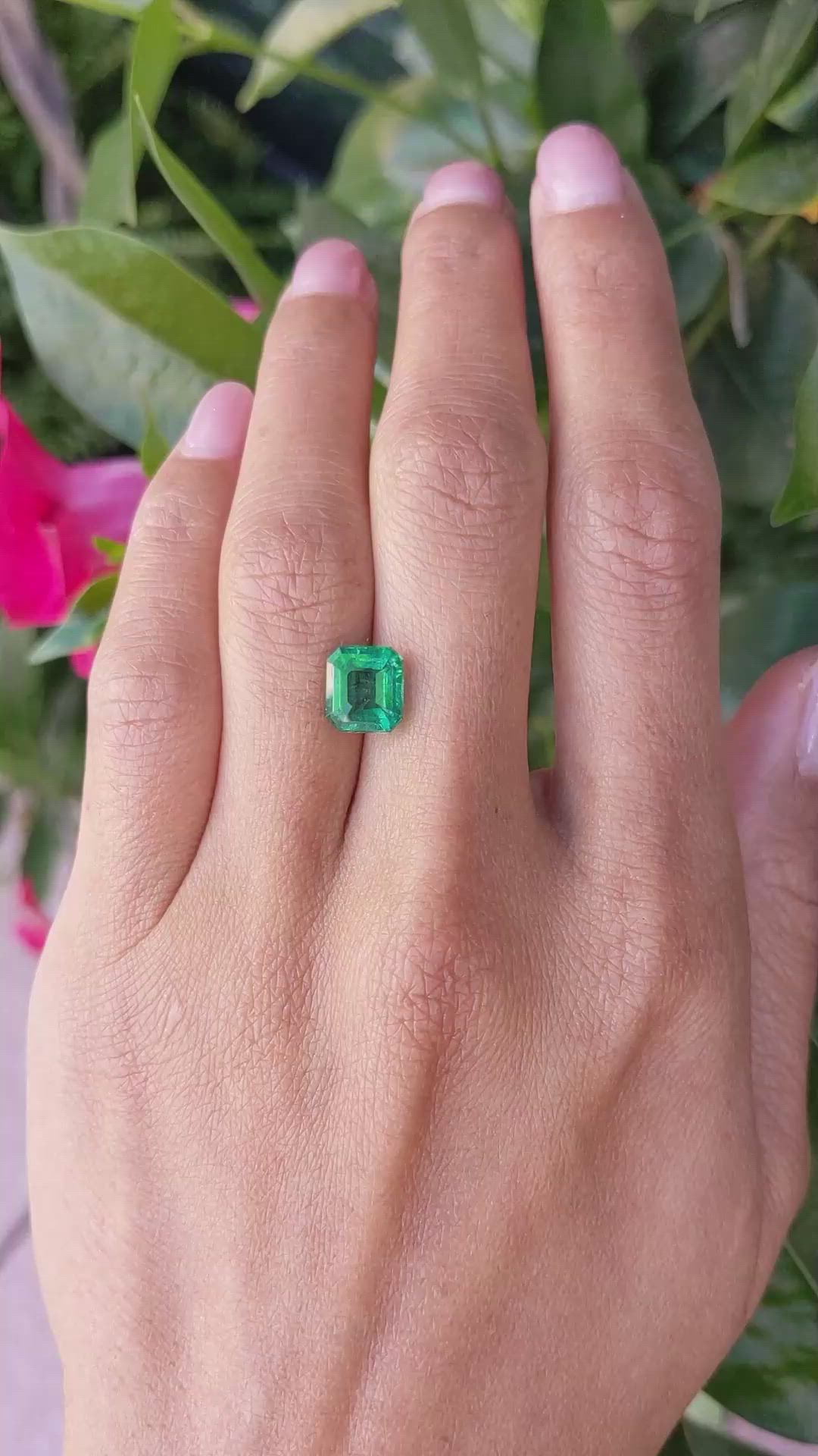 2.54 Ct. Emerald from Zambia Size Video