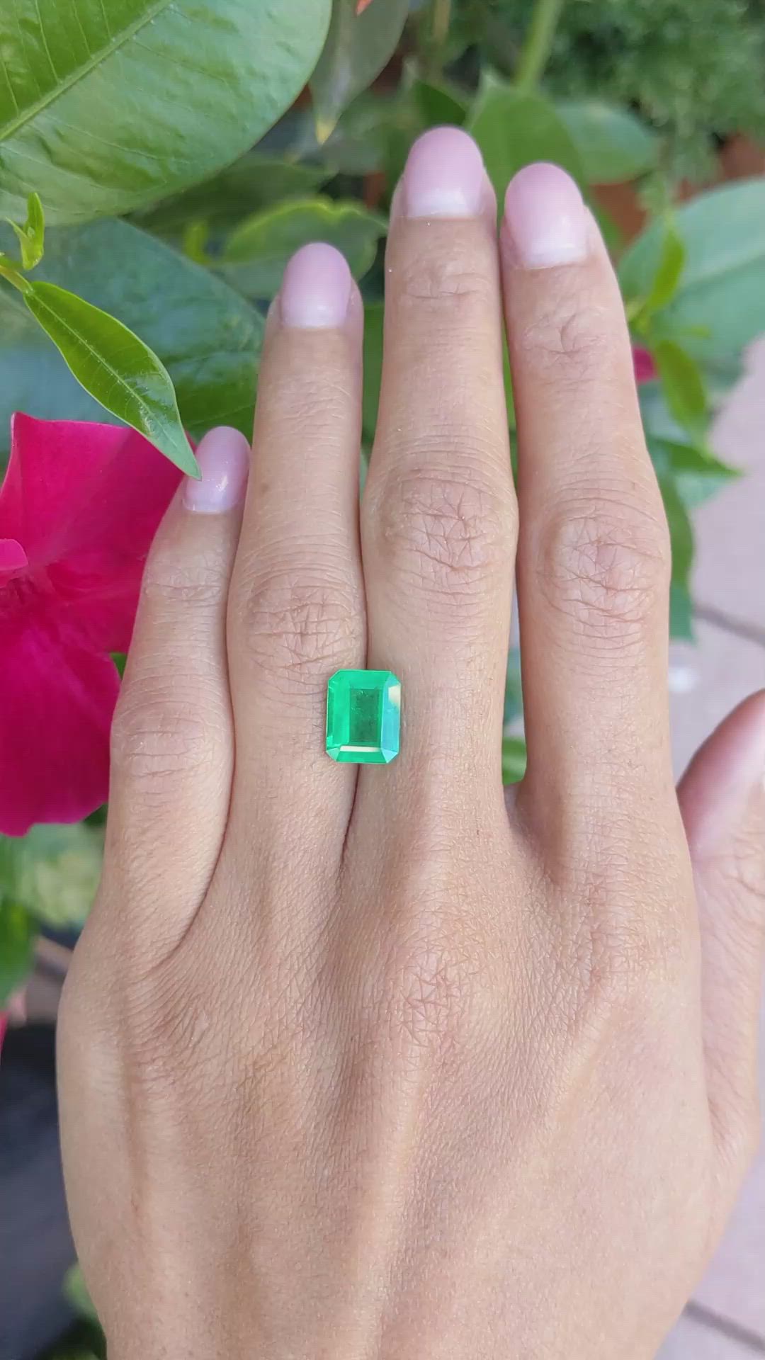 2.64 Ct. Emerald from Zambia Size Video
