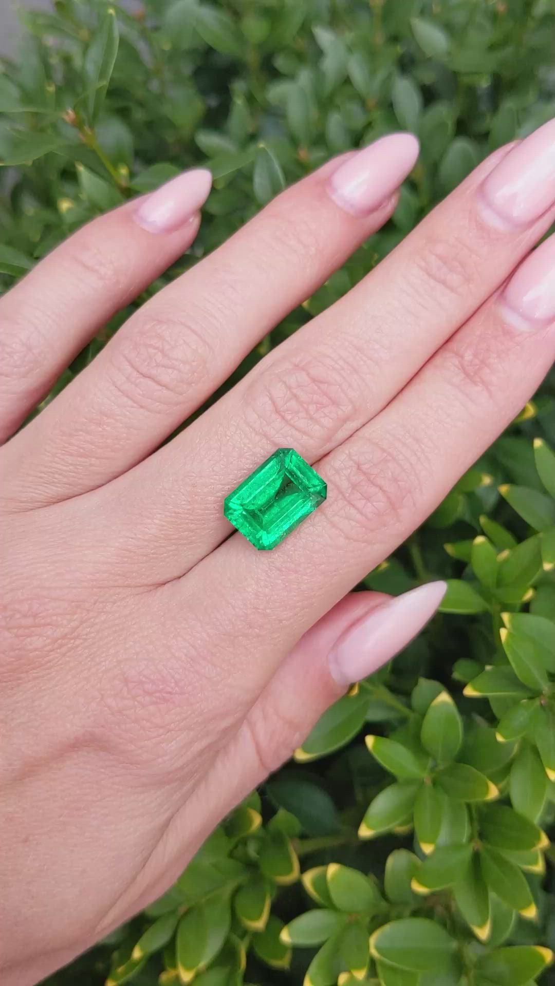 5.40 Ct. Emerald from Zambia Size Video