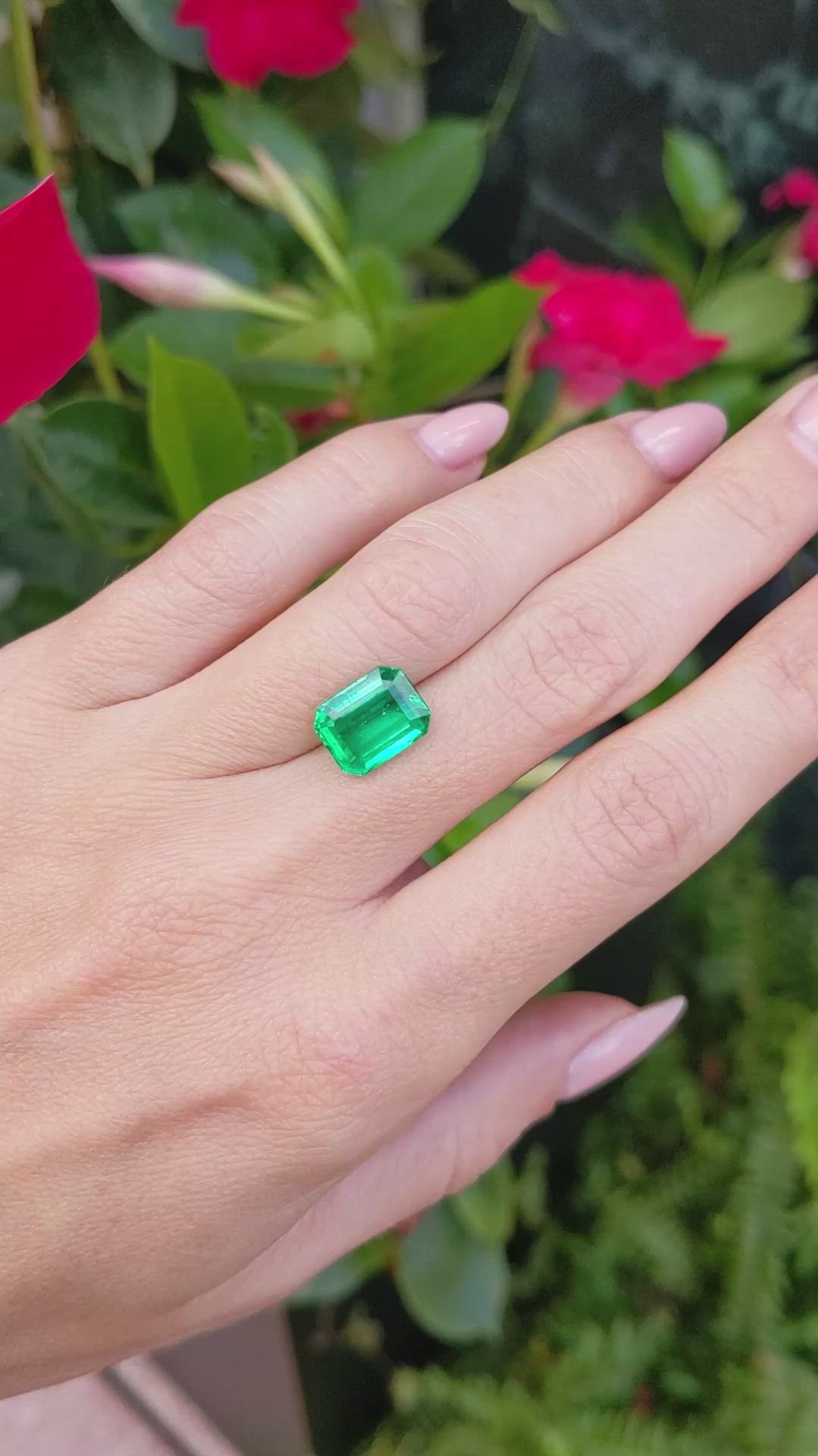 3.67 Ct. Emerald from Colombia Size Video