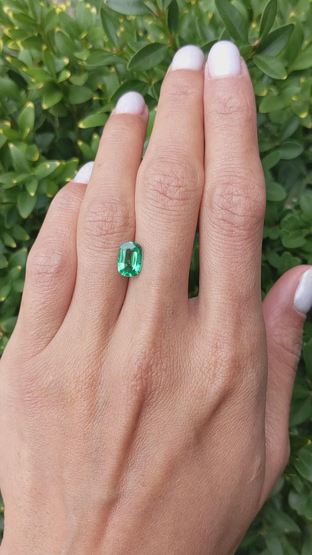 1.54 Ct. Emerald from Zambia Size Video