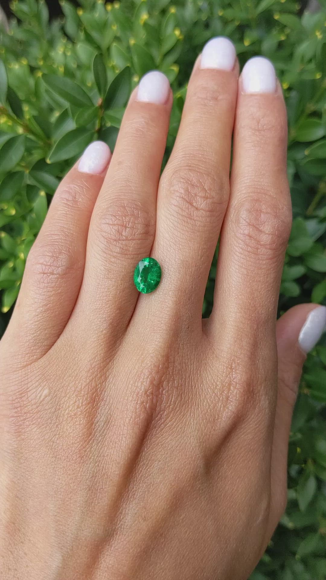 1.46 Ct. Emerald from Zambia Size Video