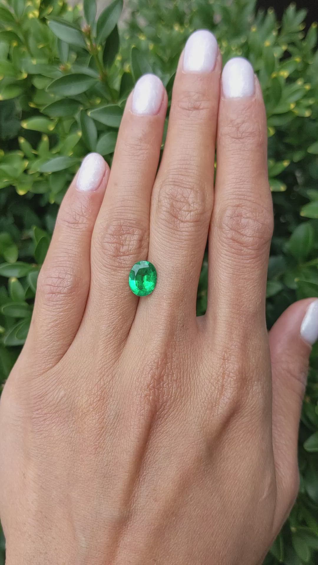 1.64 Ct. Emerald from Zambia Size Video