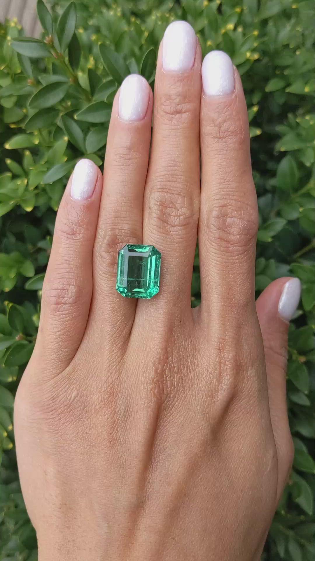 11.68 Ct. Emerald from Zambia Size Video