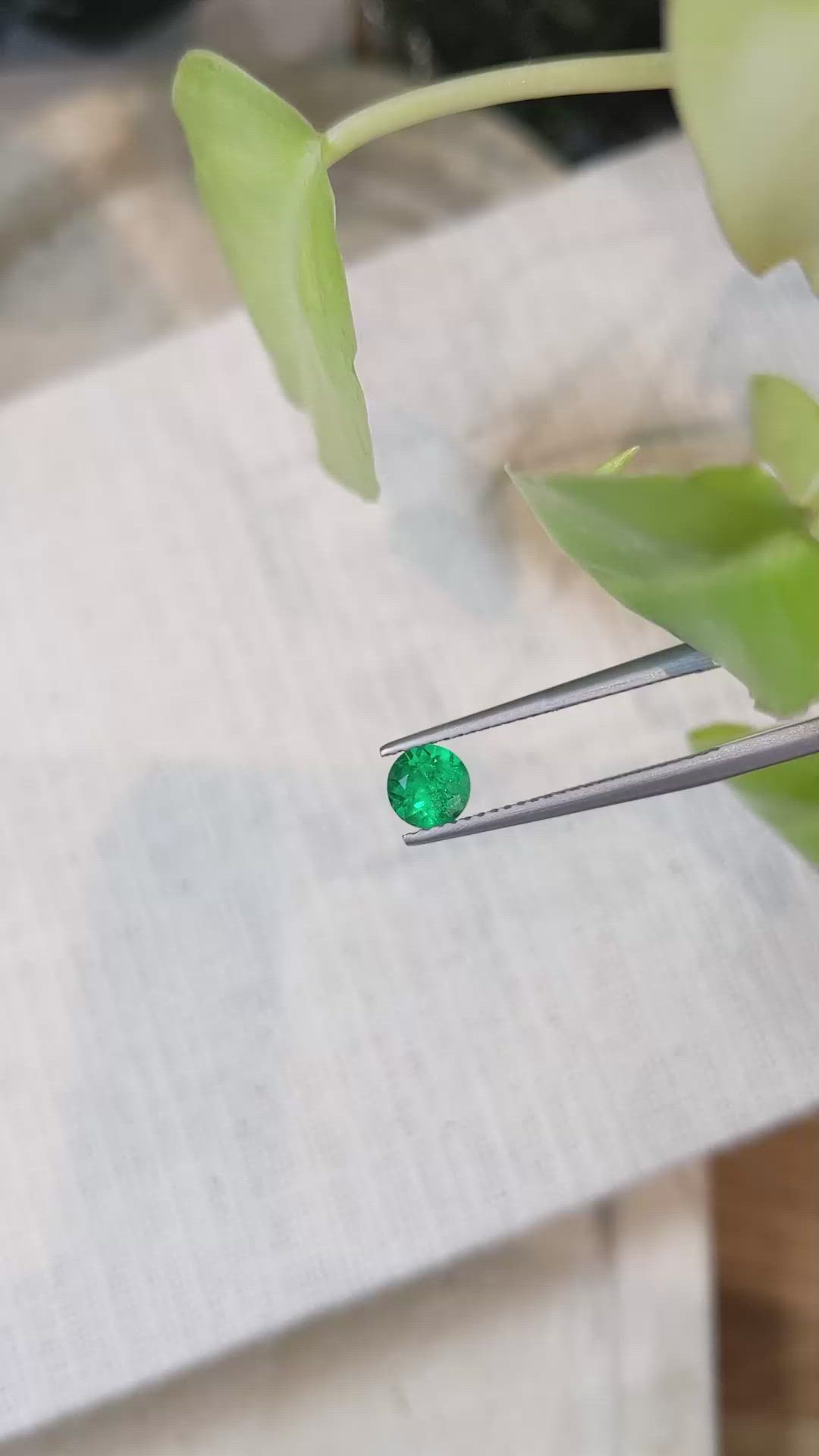 0.49 Ct. Emerald from Afghanistan Size Video