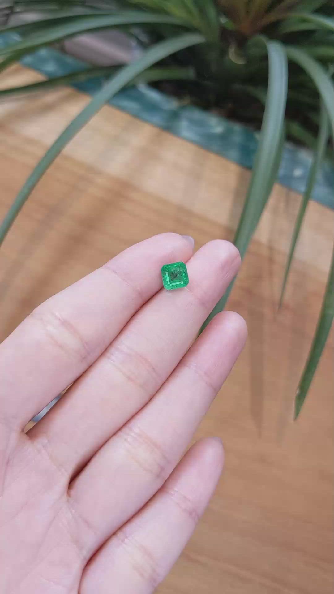 1.61 Ct. Emerald from Zambia Size Video