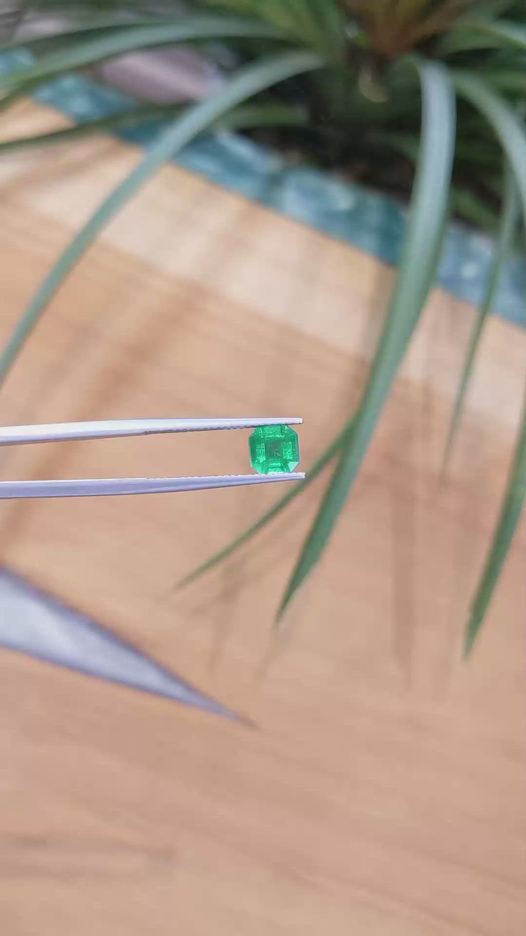 1.42 Ct. Emerald from Zambia Size Video