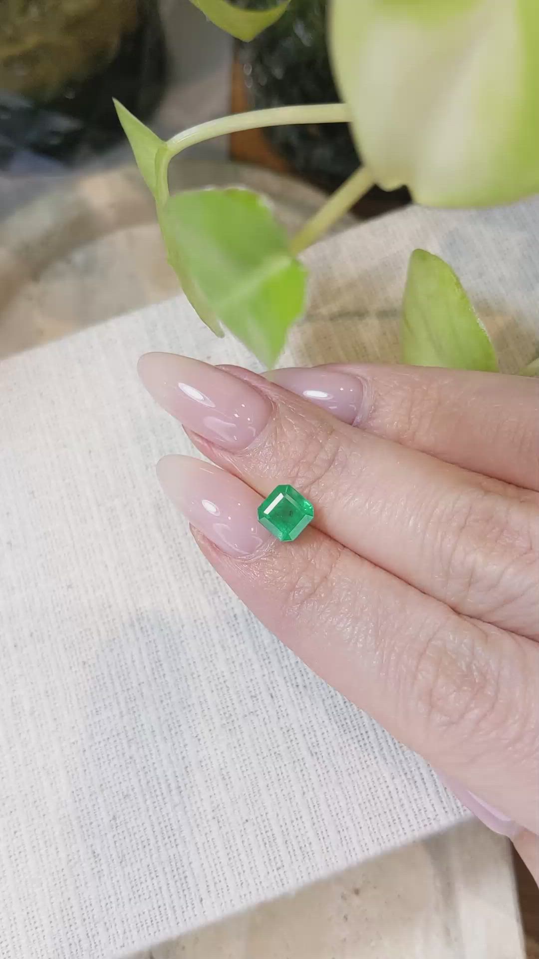 1.45 Ct. Emerald from Zambia Size Video