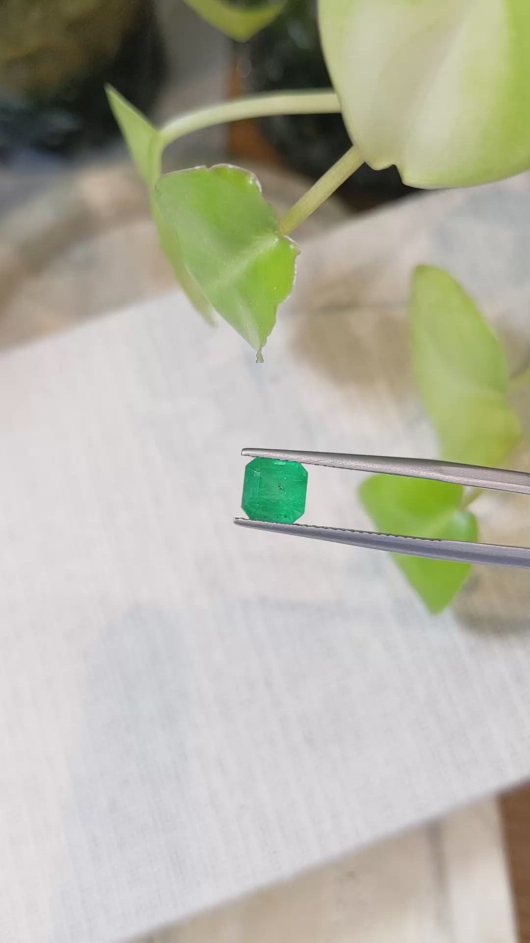 1.45 Ct. Emerald from Zambia Size Video