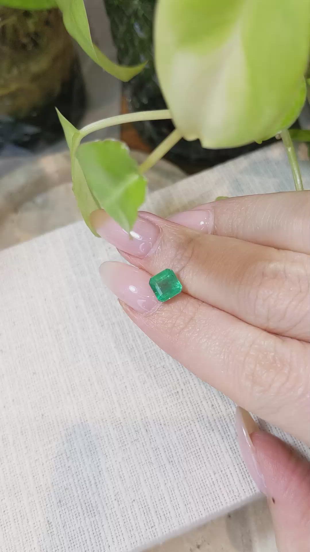 1.66 Ct. Emerald from Zambia Size Video