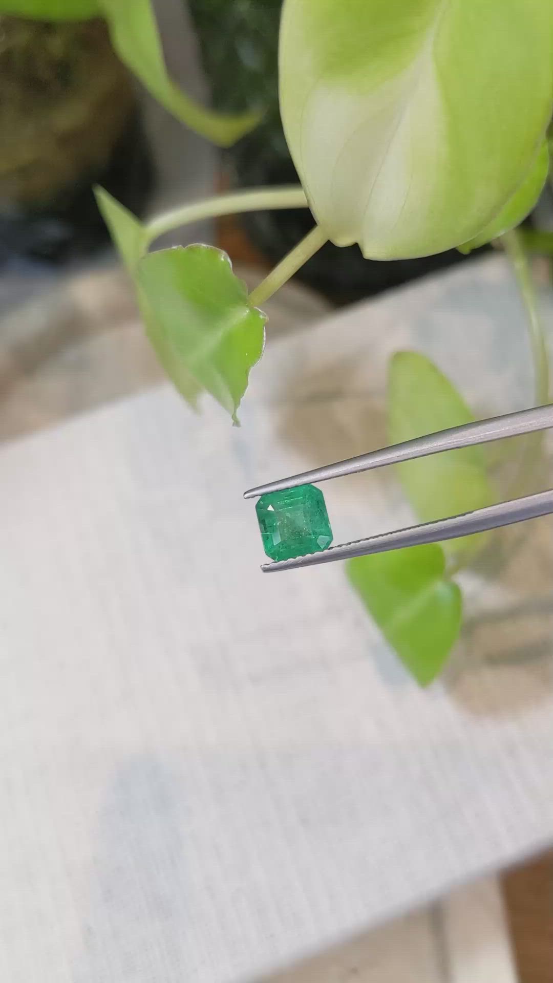 1.66 Ct. Emerald from Zambia Size Video